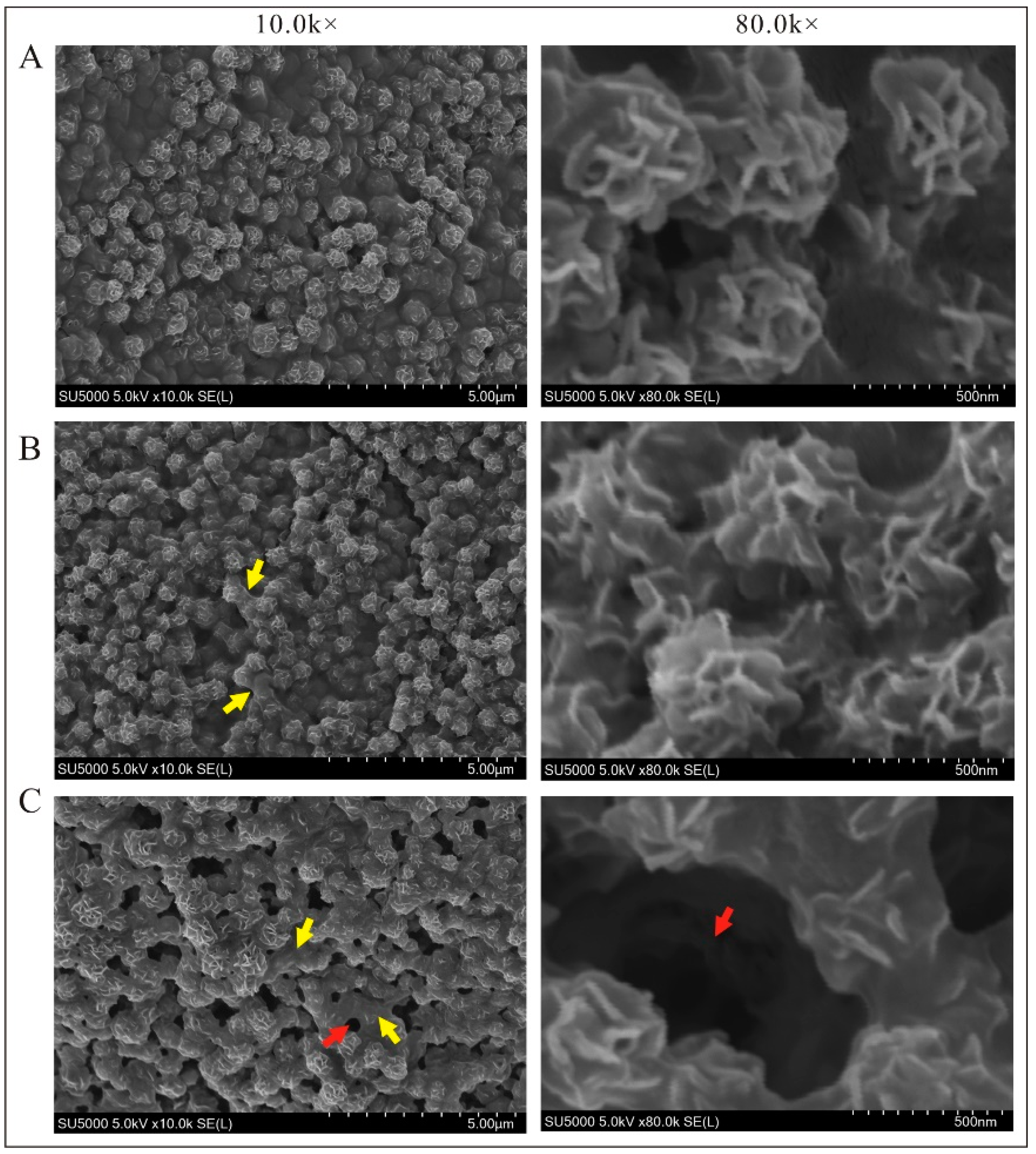 Biosensors 13 00755 g004