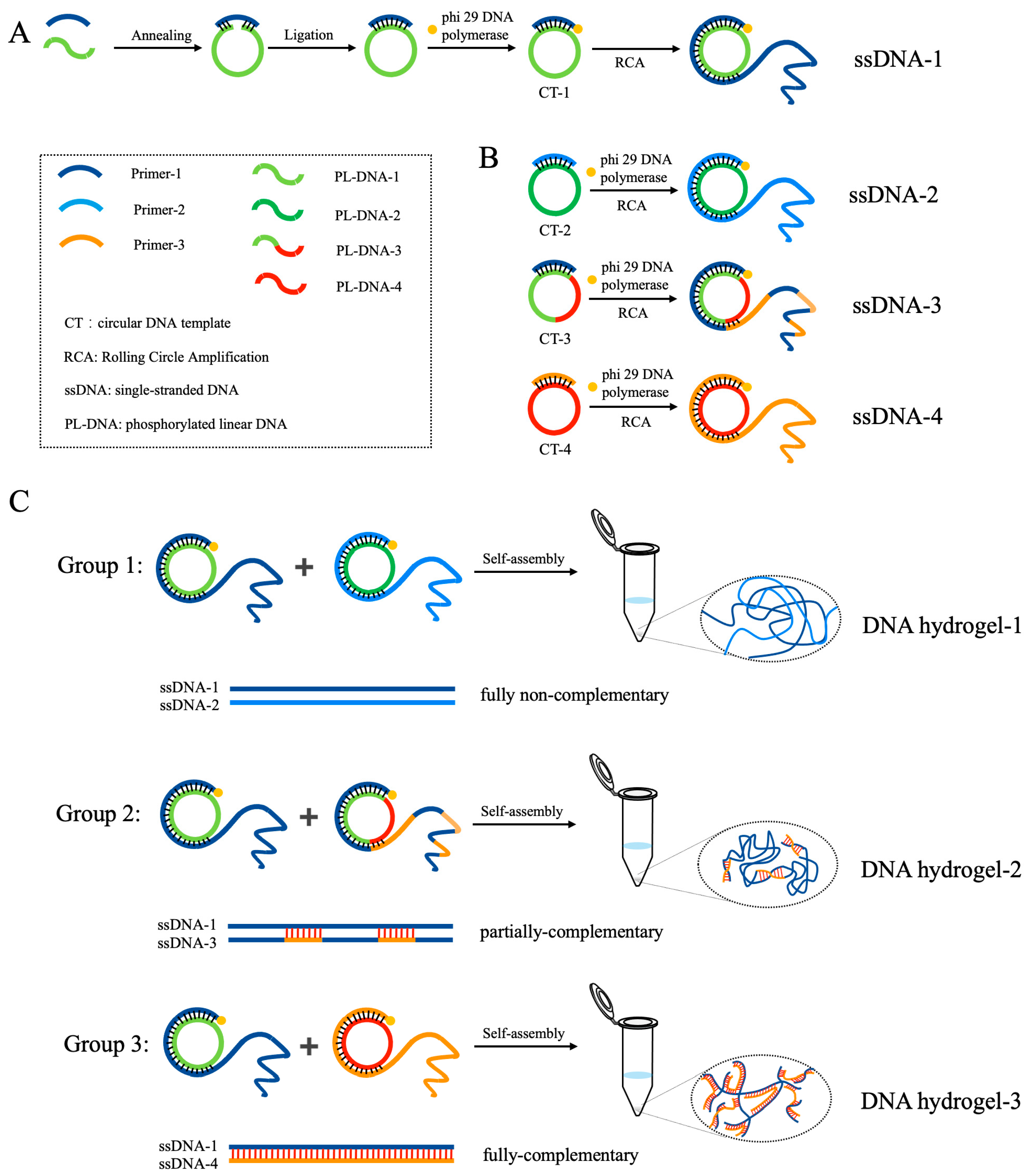 Biosensors 13 00755 sch001
