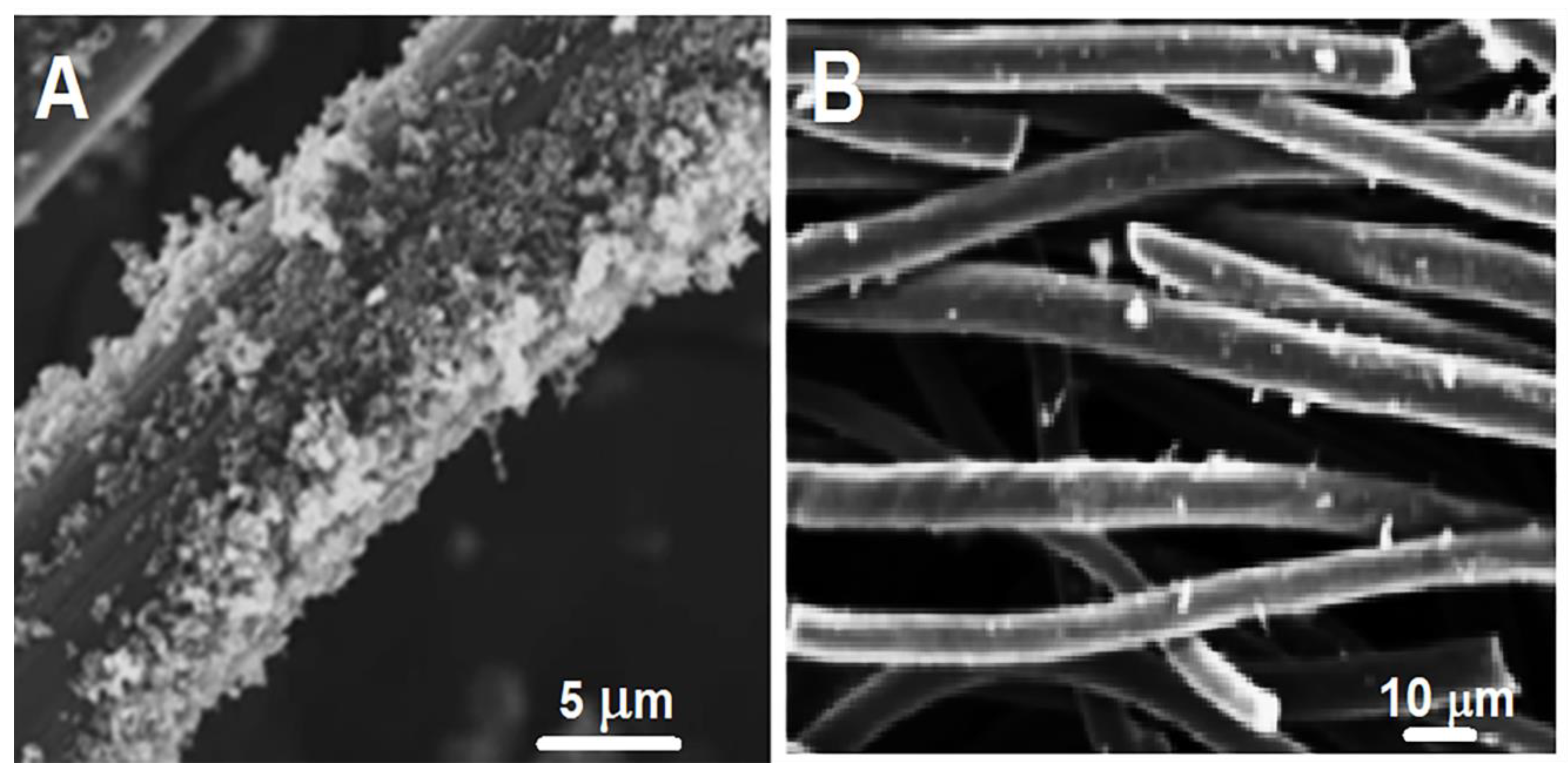 Biosensors 13 00760 g001