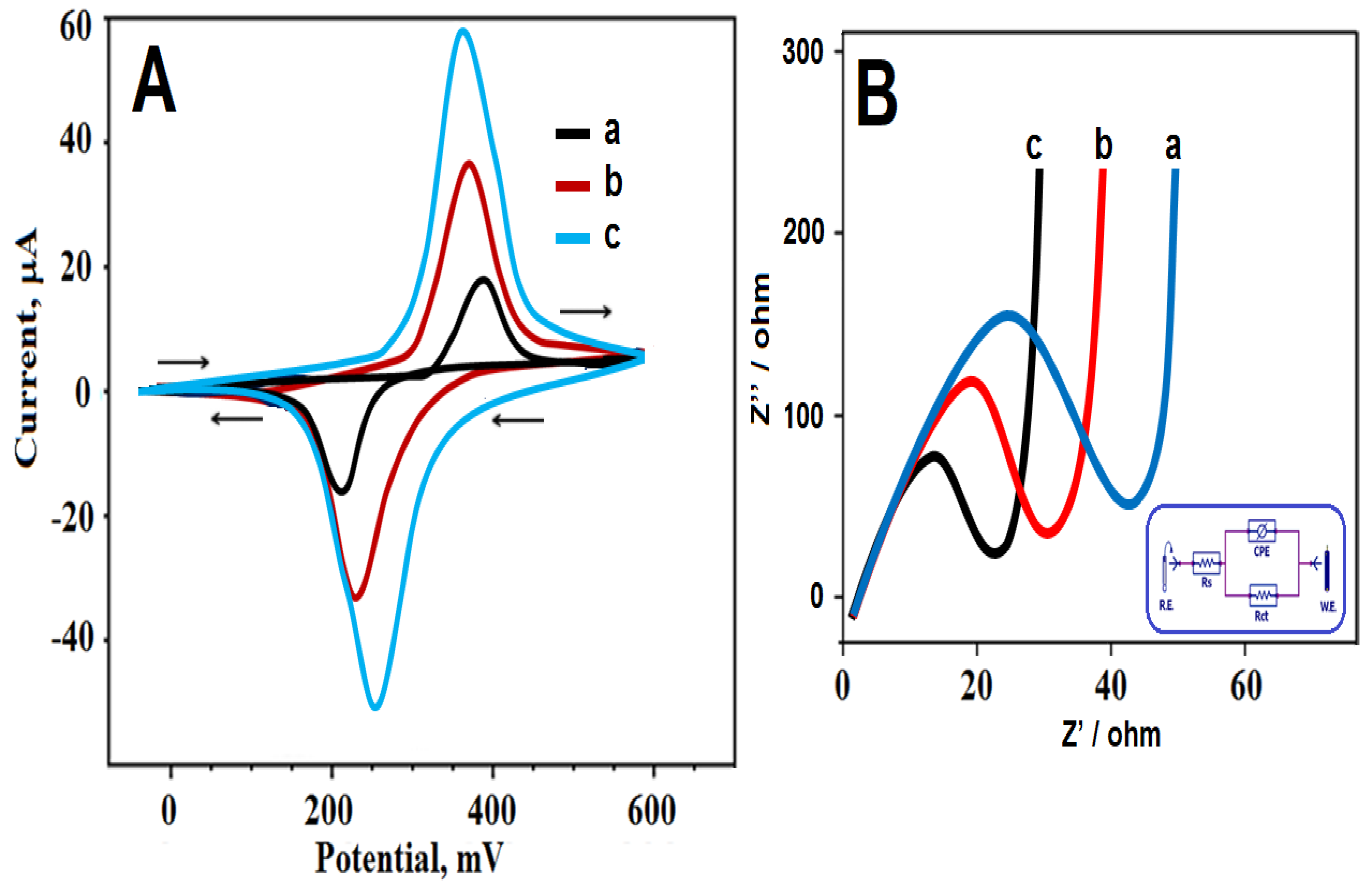 Biosensors 13 00760 g004
