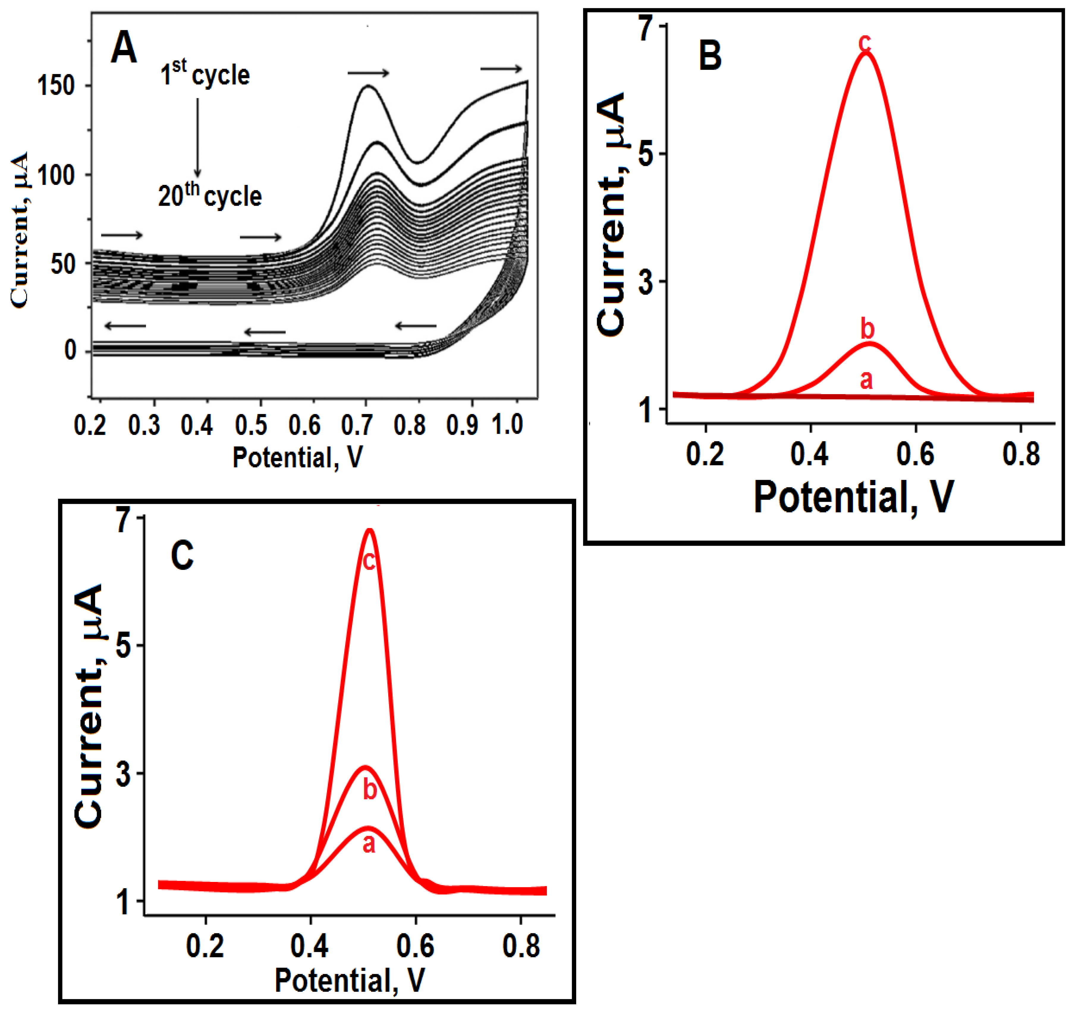 Biosensors 13 00760 g005