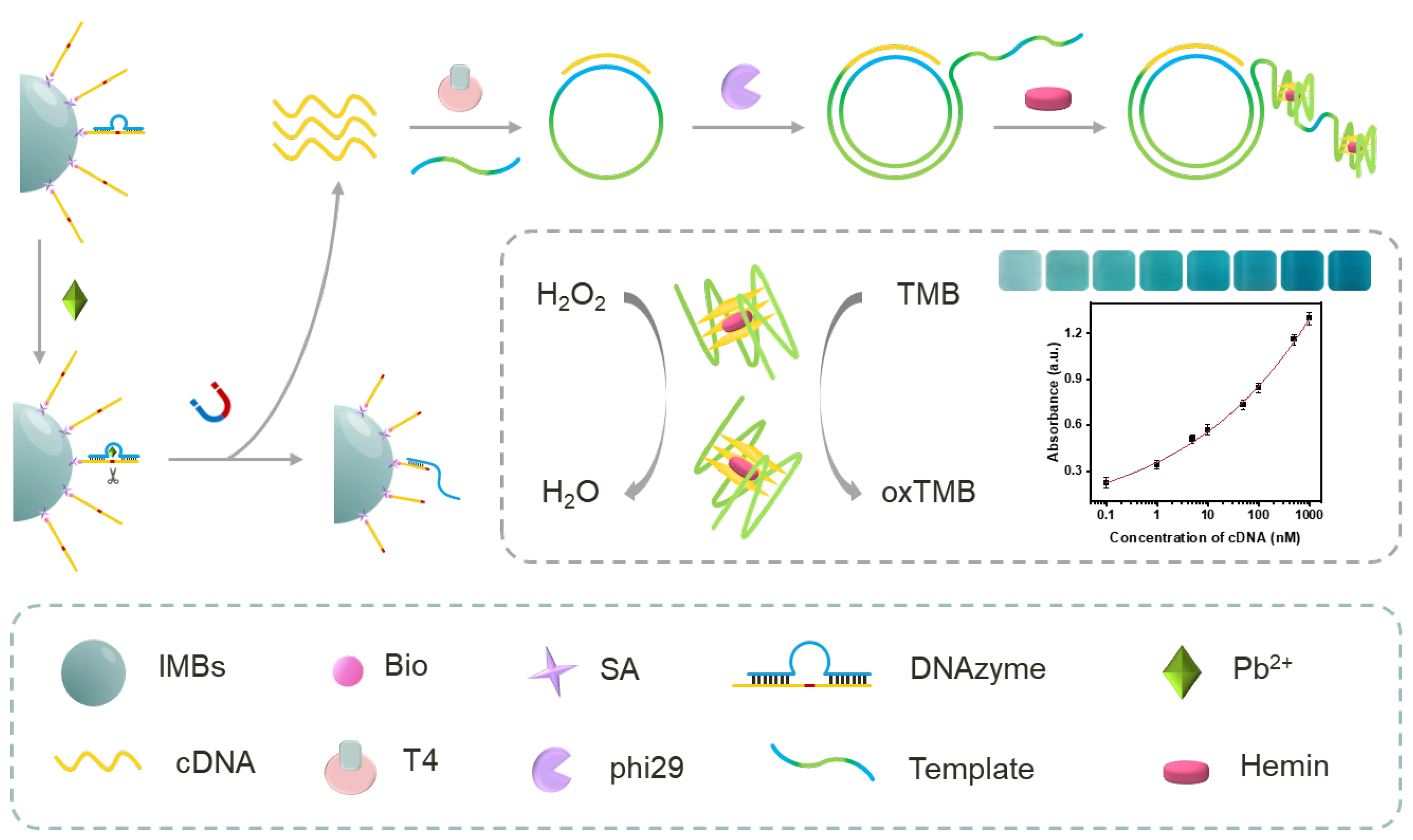 Biosensors 13 00761 sch001