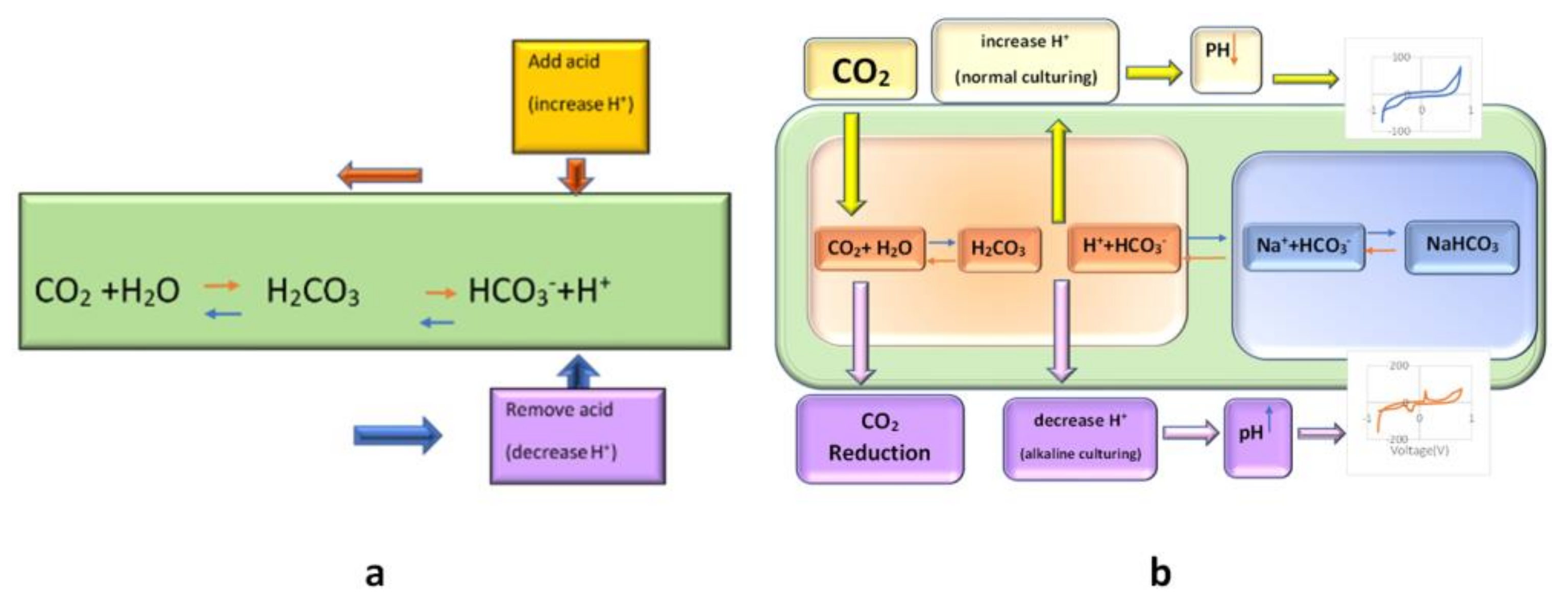 Biosensors 13 00762 g003