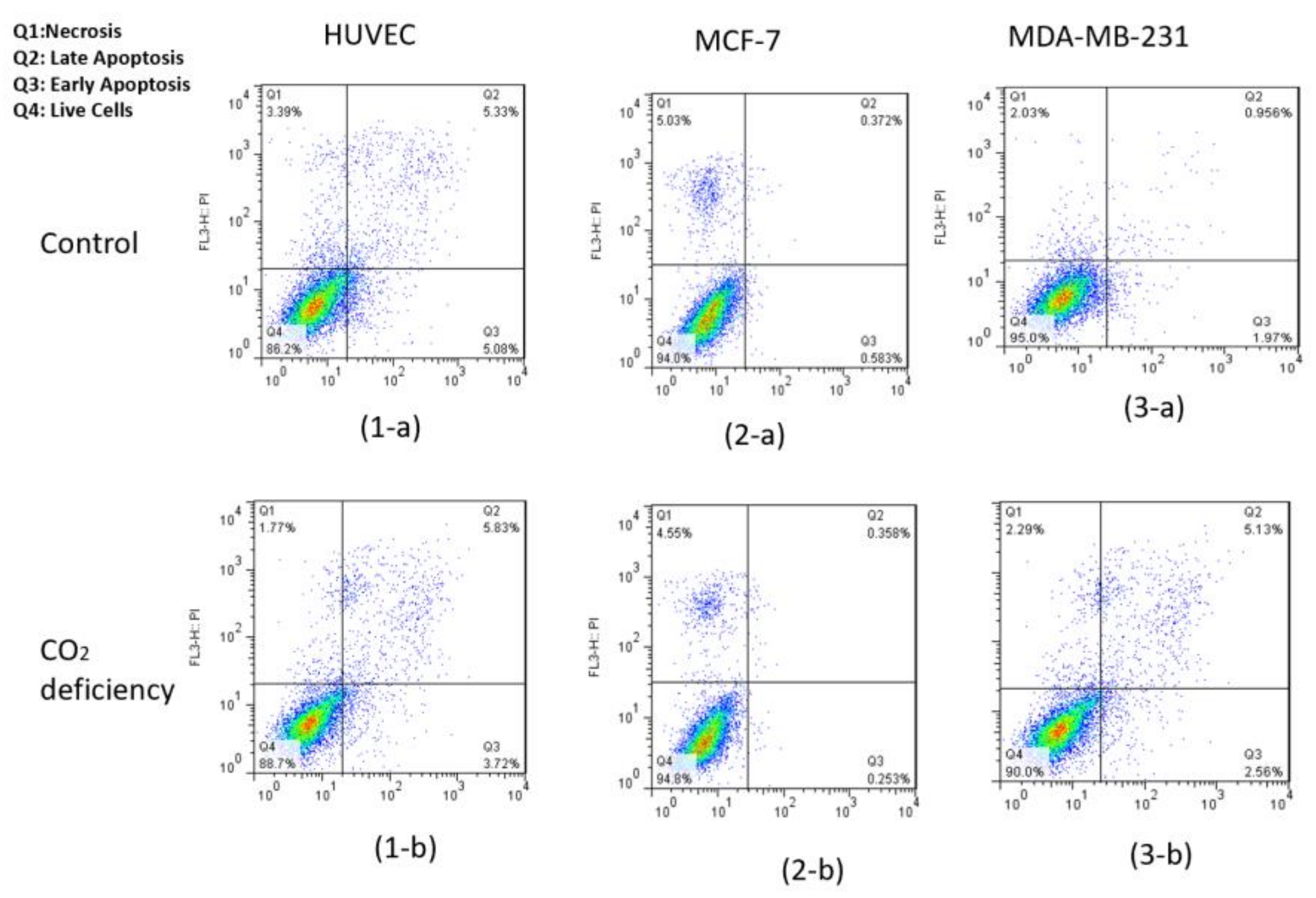 Biosensors 13 00762 g005