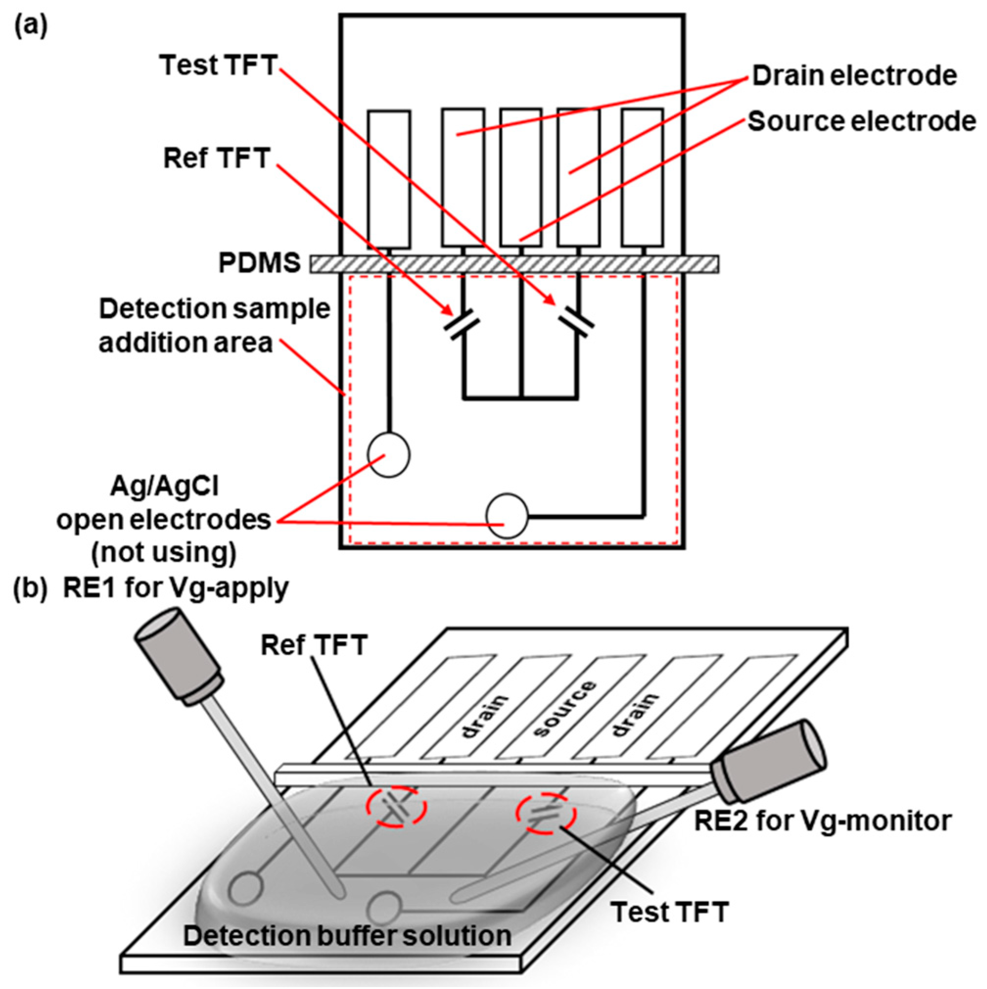 Biosensors 13 00765 g001