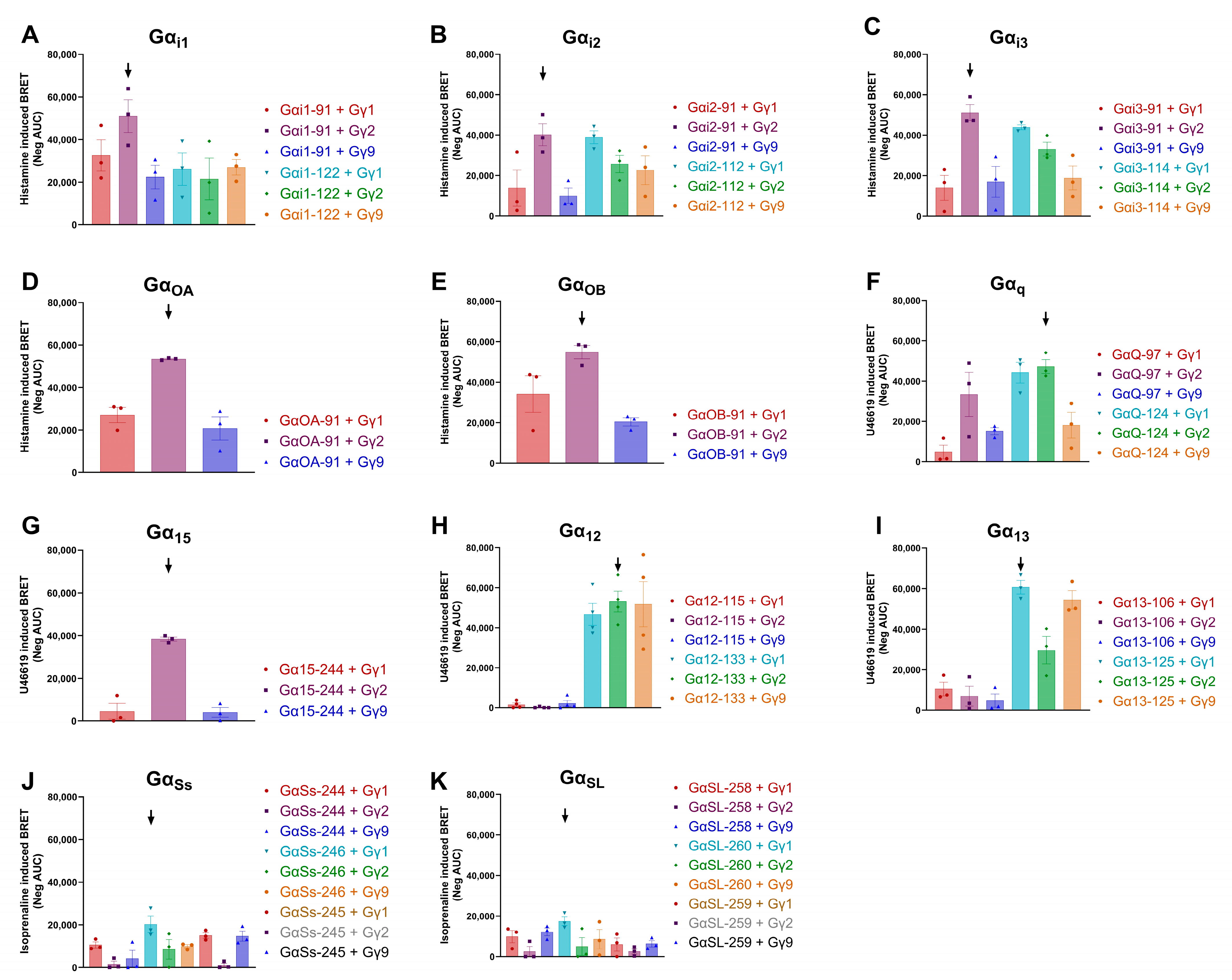 Biosensors 13 00767 g003
