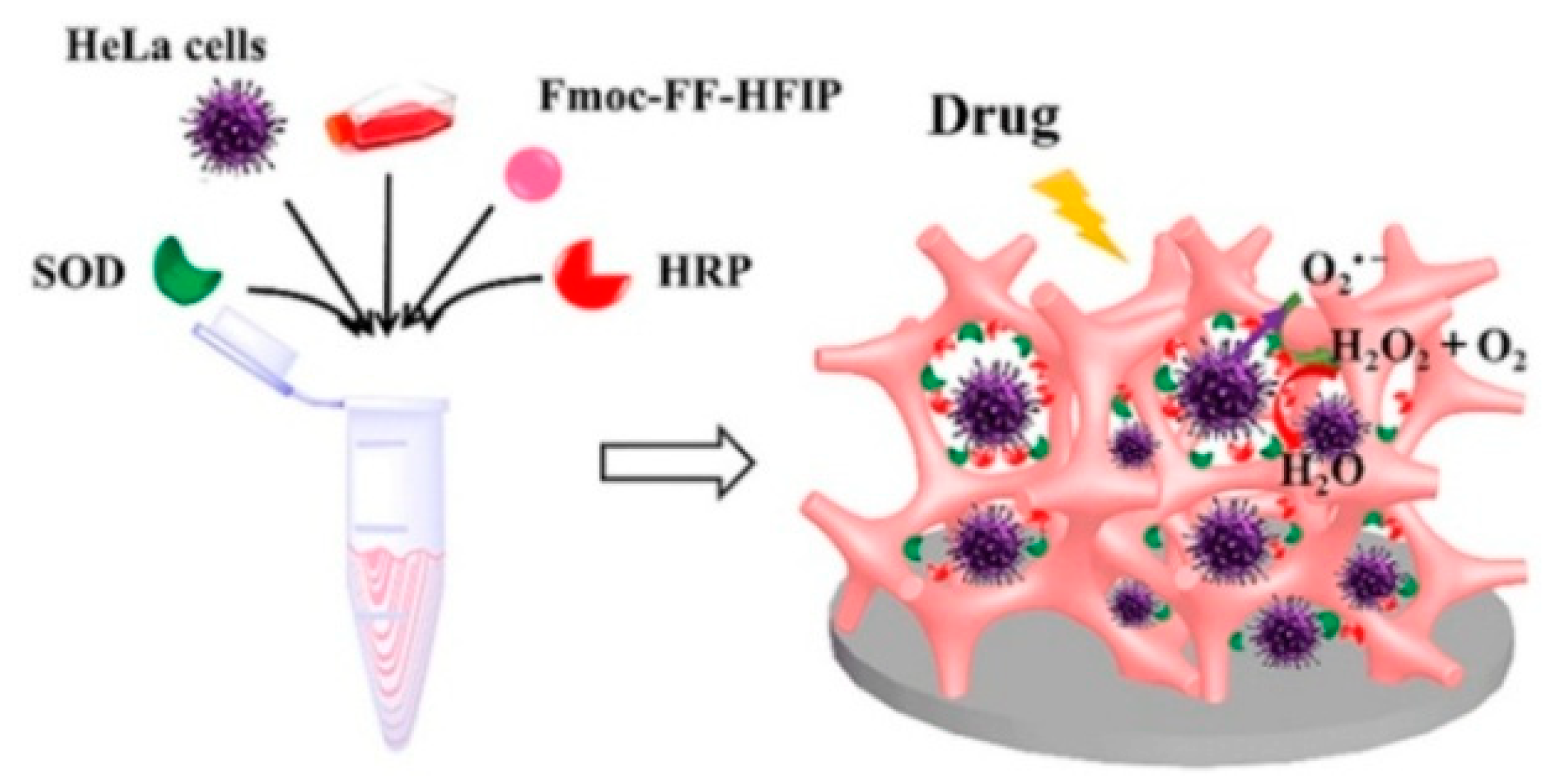 Biosensors 13 00773 g001