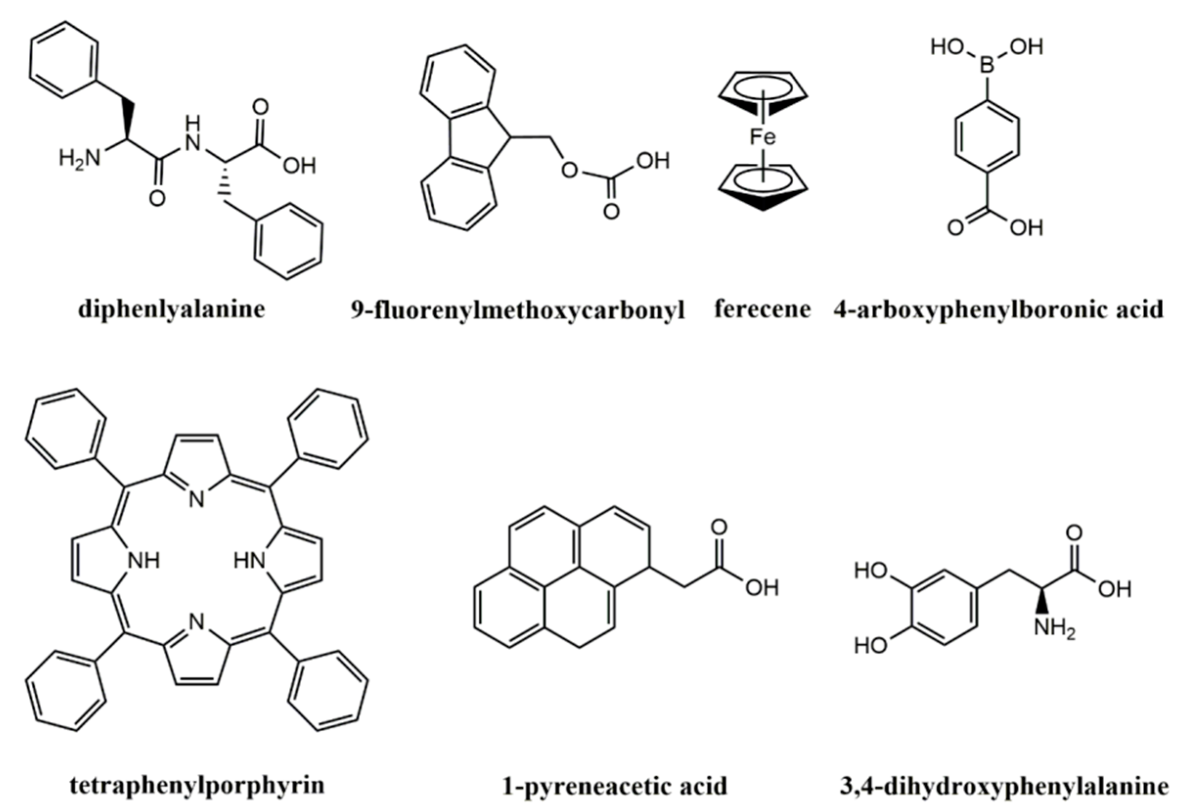 Biosensors 13 00773 g002