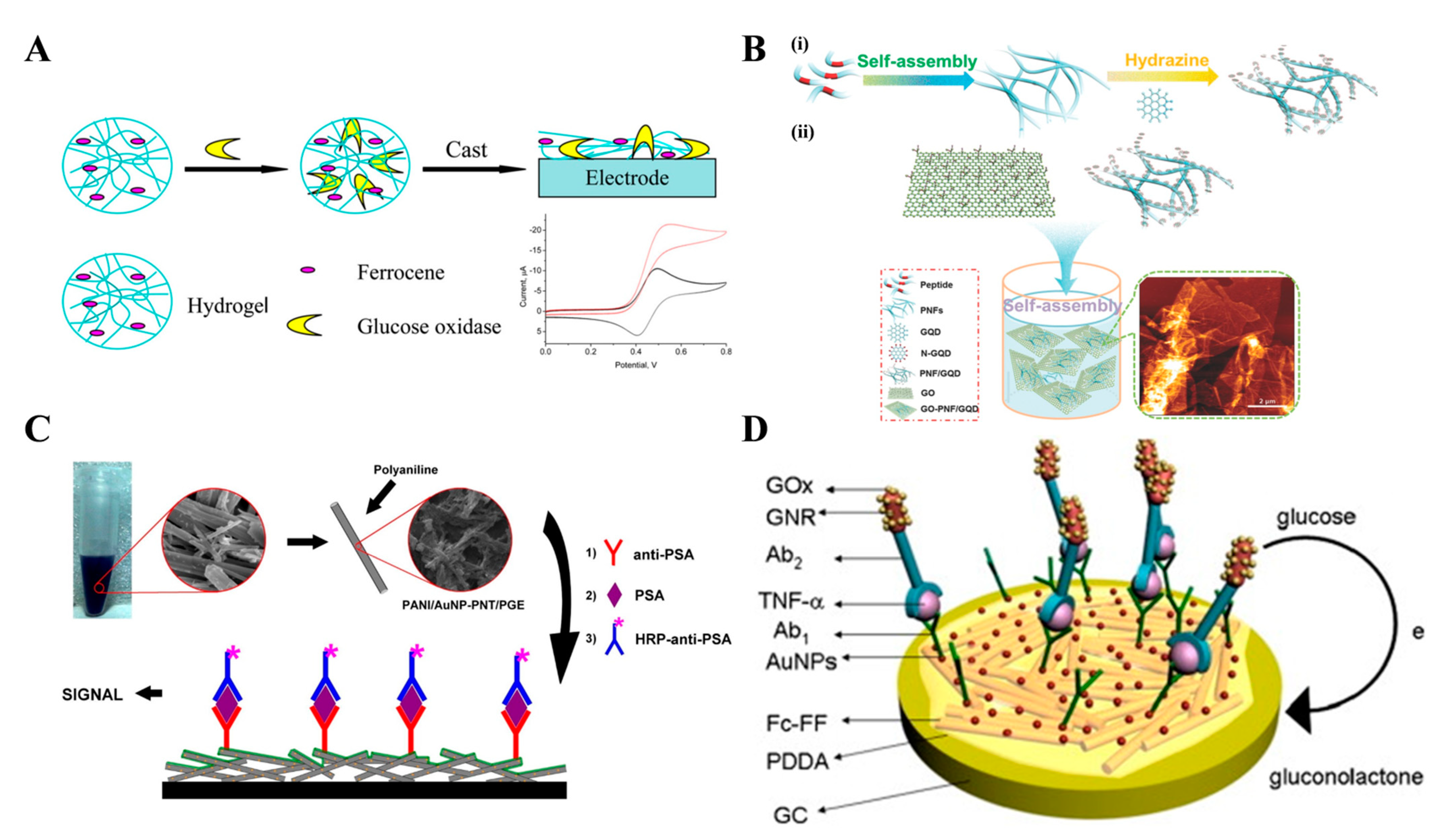 Biosensors 13 00773 g003