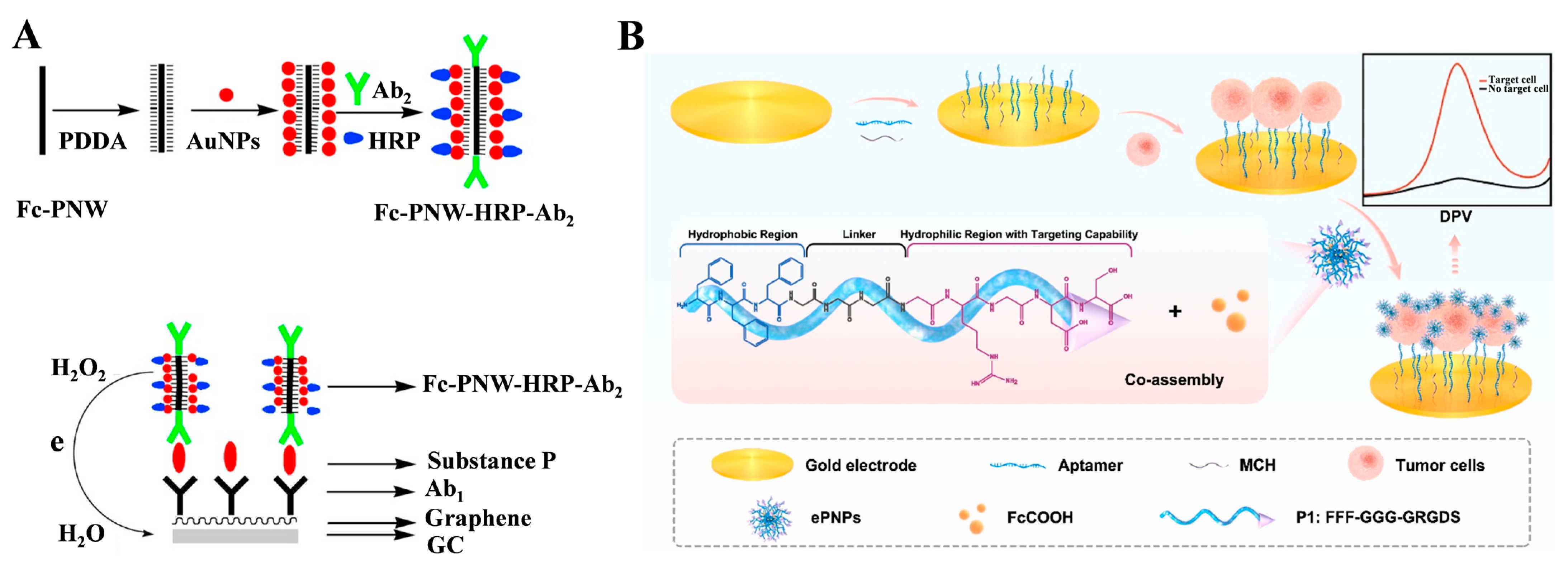 Biosensors 13 00773 g004