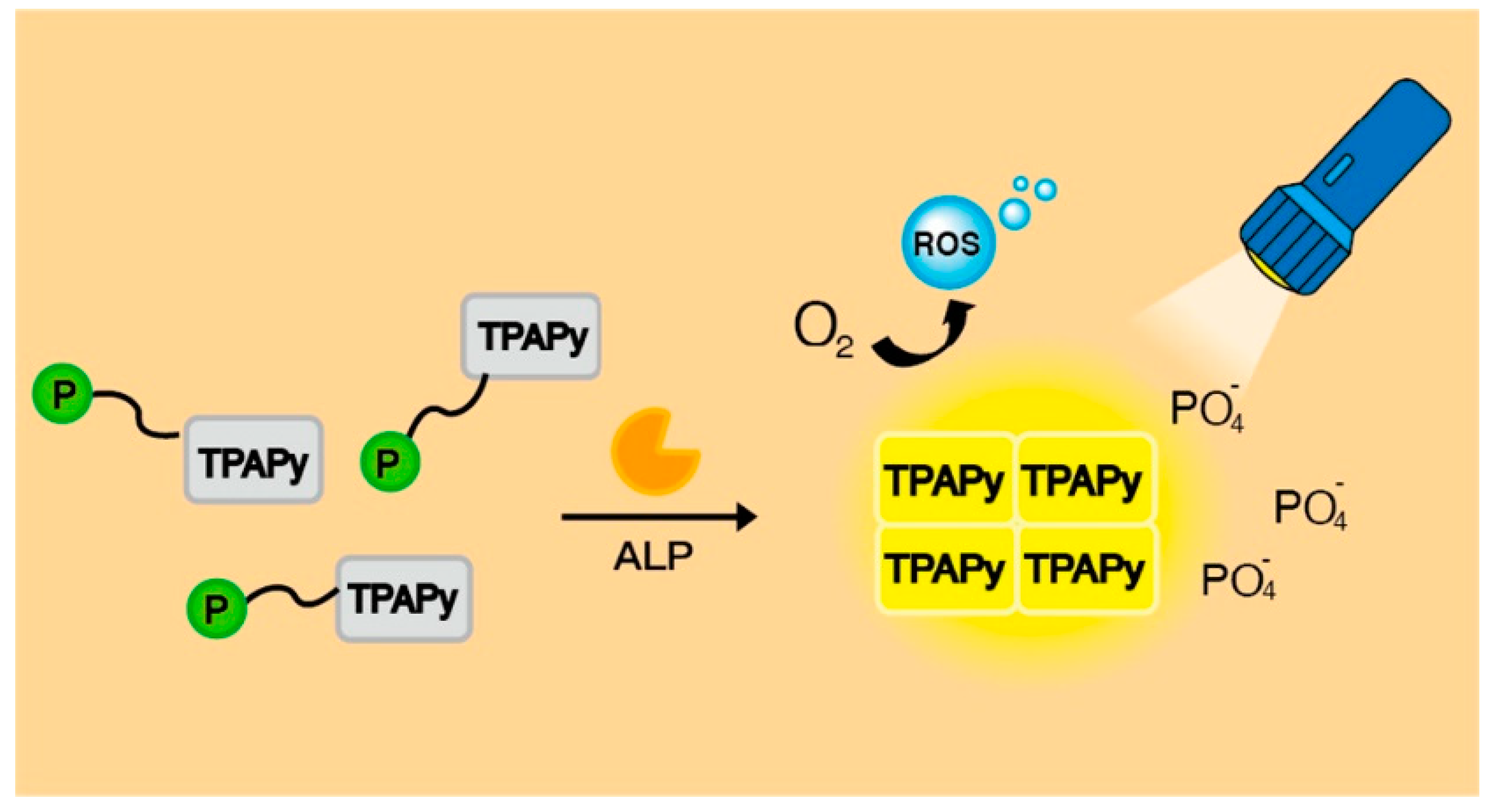 Biosensors 13 00773 g007