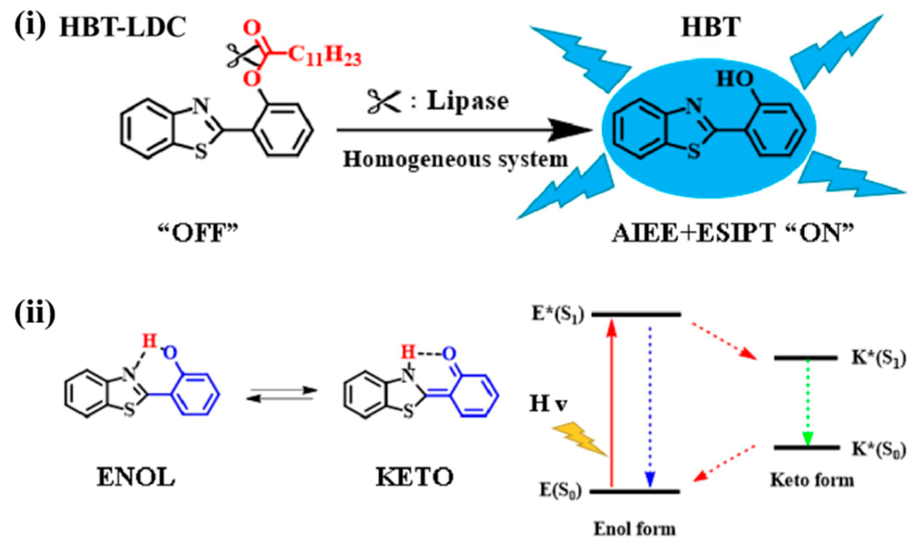 Biosensors 13 00773 g008
