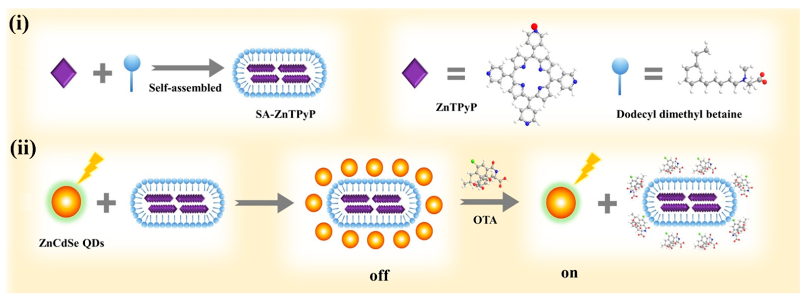 Biosensors 13 00773 g009