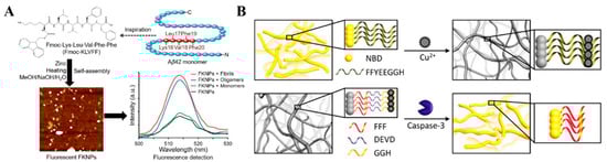 Biosensors 13 00773 g010