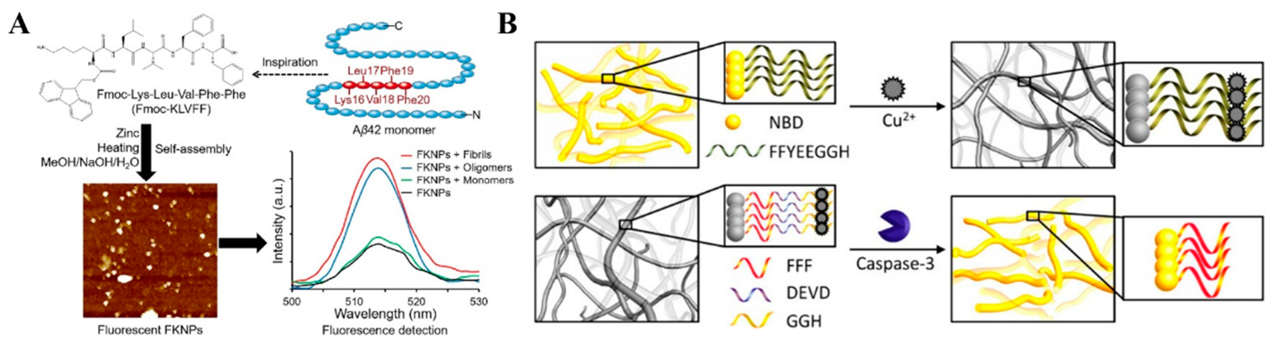 Biosensors 13 00773 g010