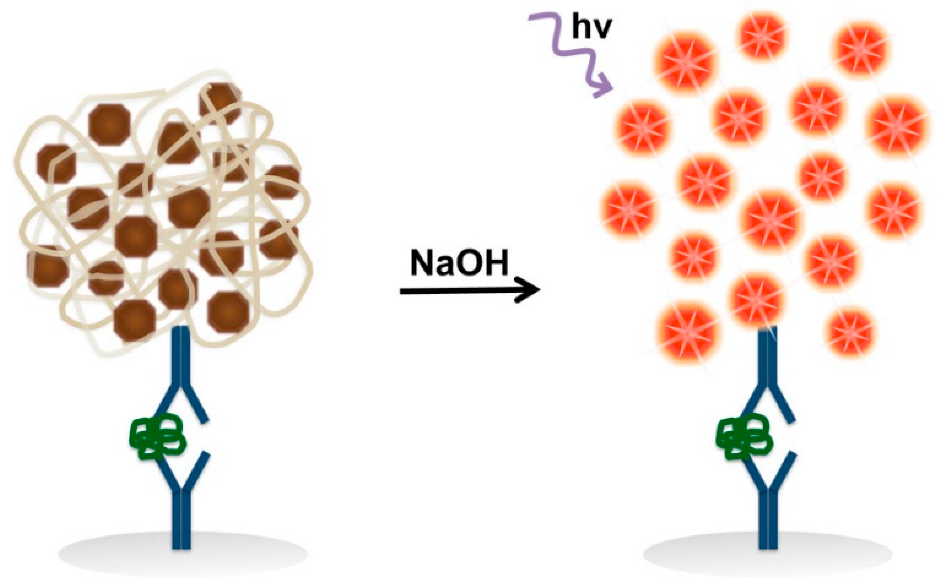 Biosensors 13 00773 g012