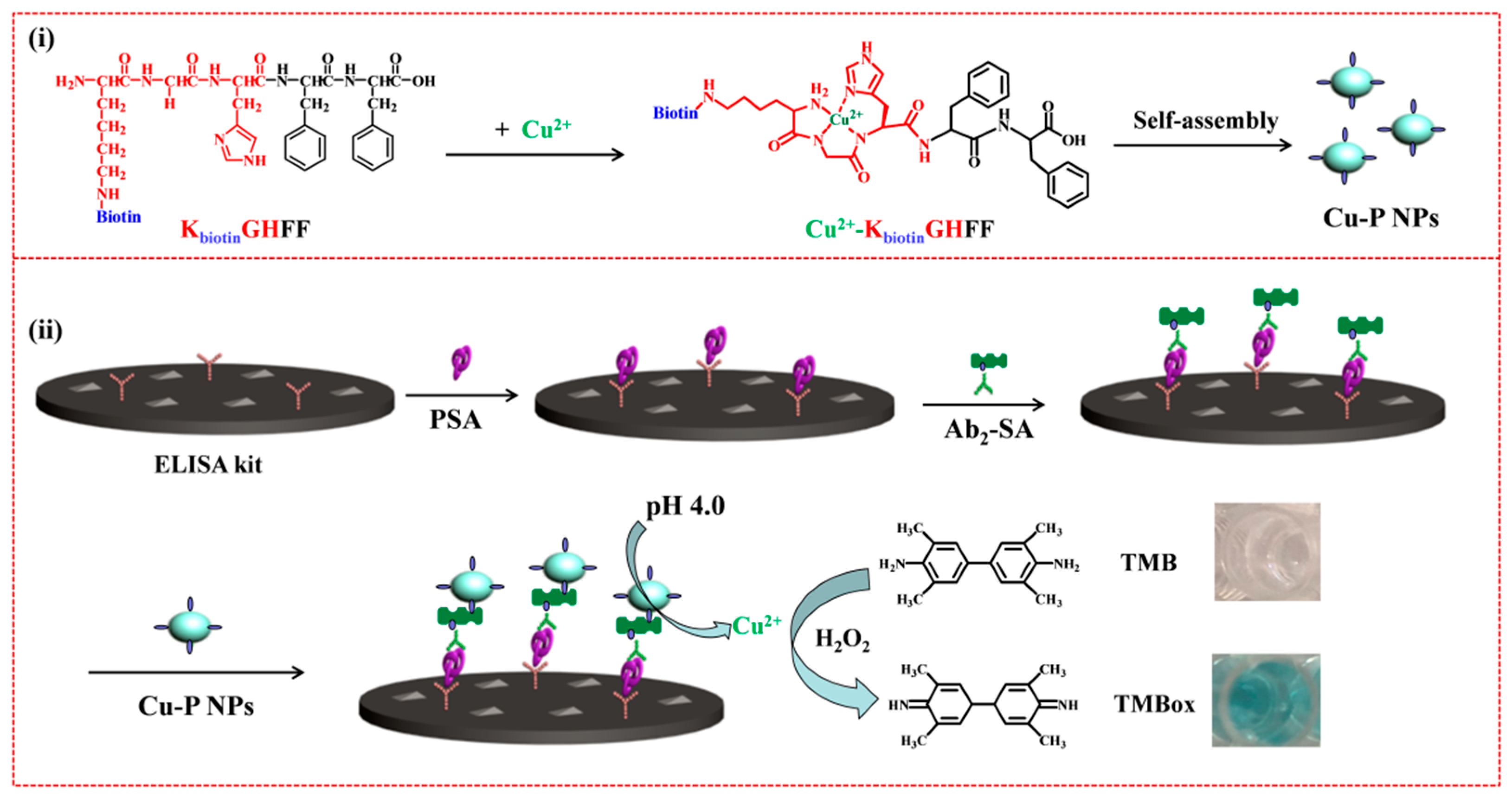 Biosensors 13 00773 g013