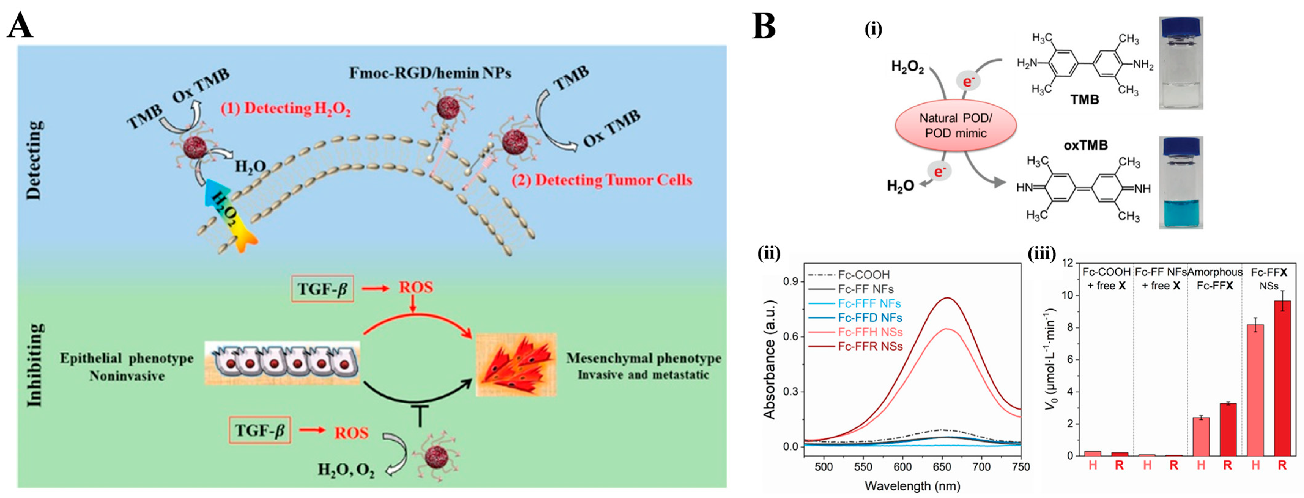 Biosensors 13 00773 g014