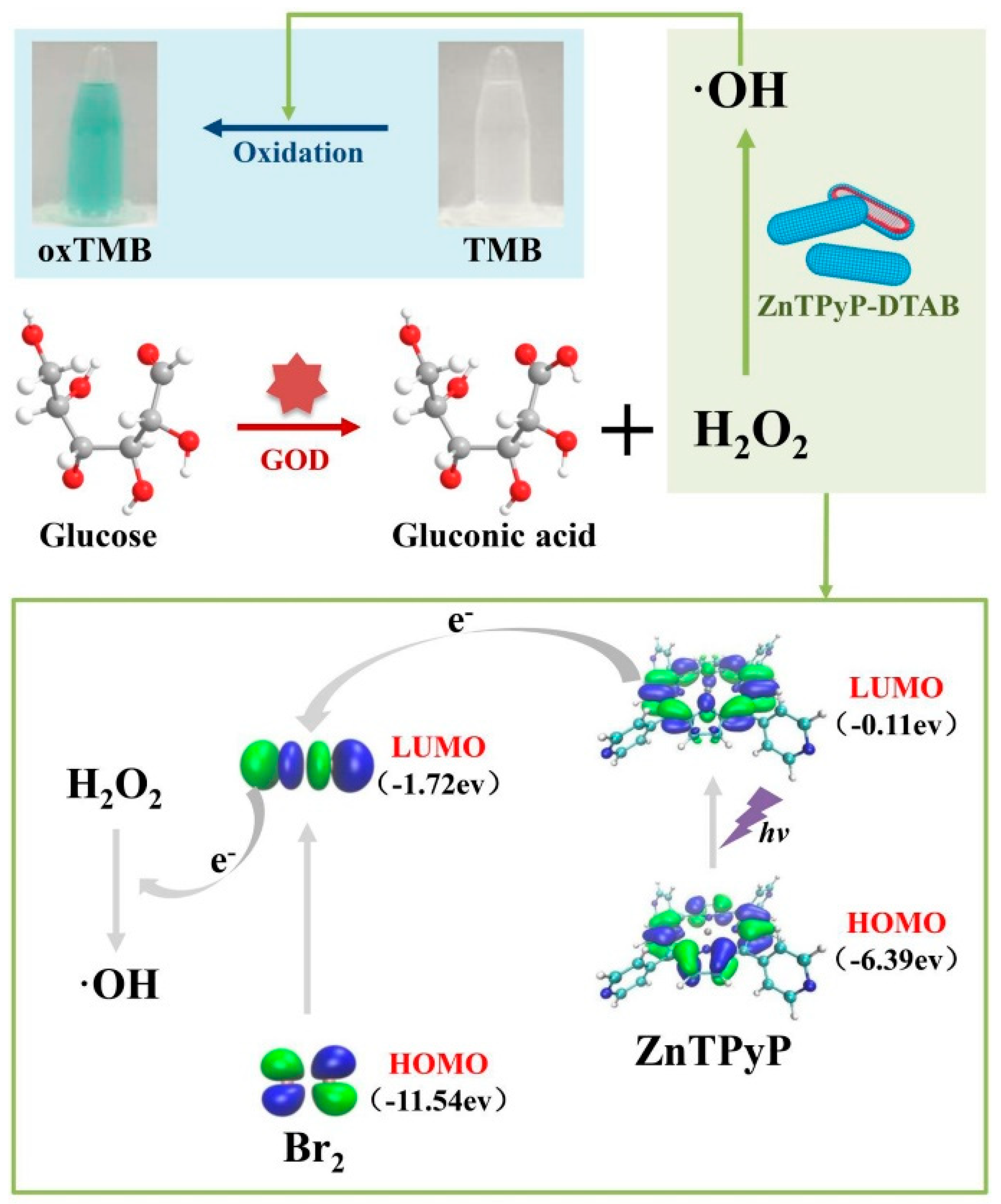Biosensors 13 00773 g015