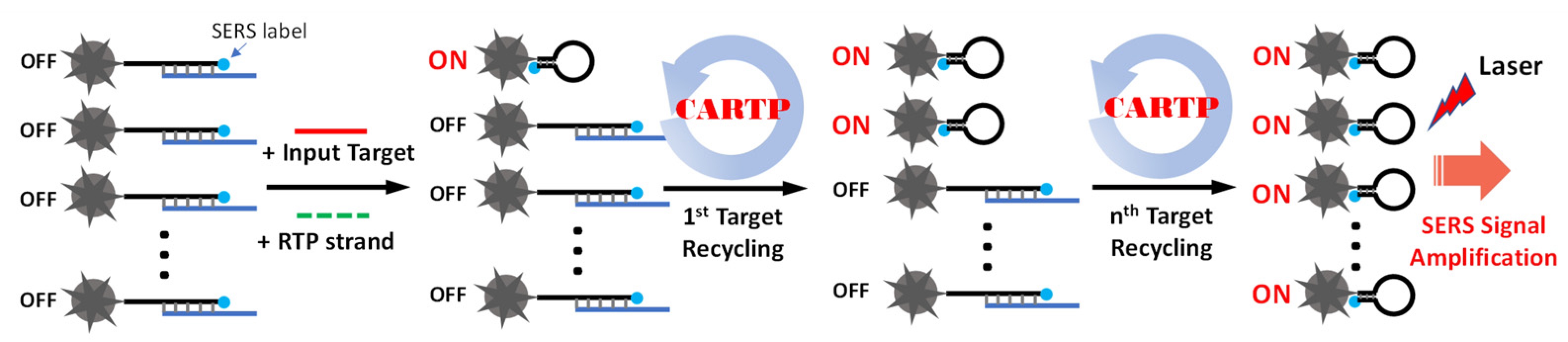 Biosensors 13 00774 g002 Biosensors 13 00774 g002