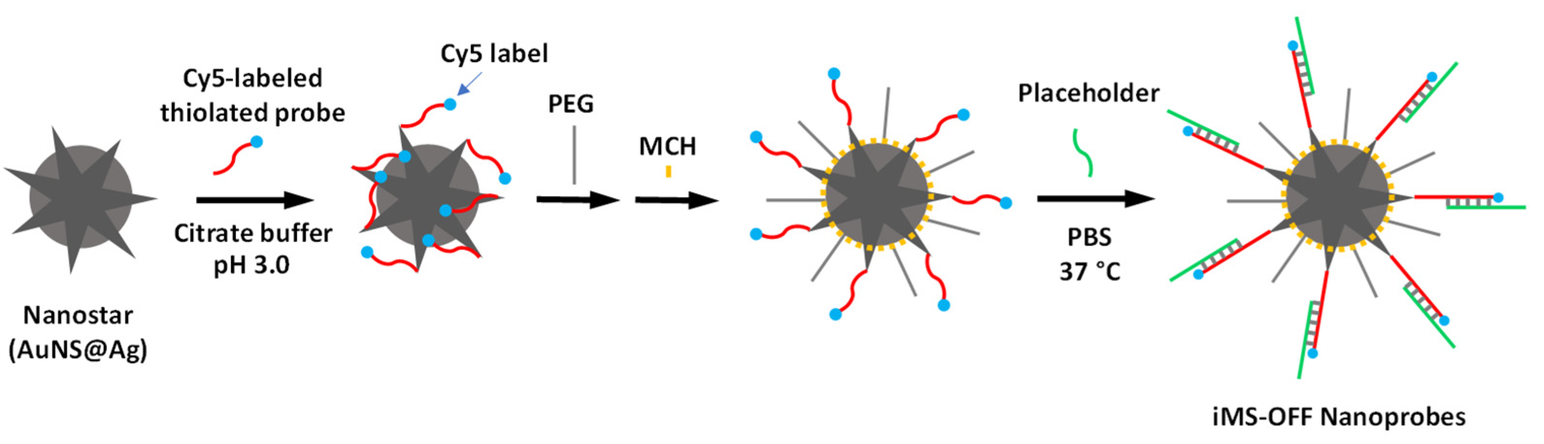 Biosensors 13 00774 g005 Biosensors 13 00774 g005