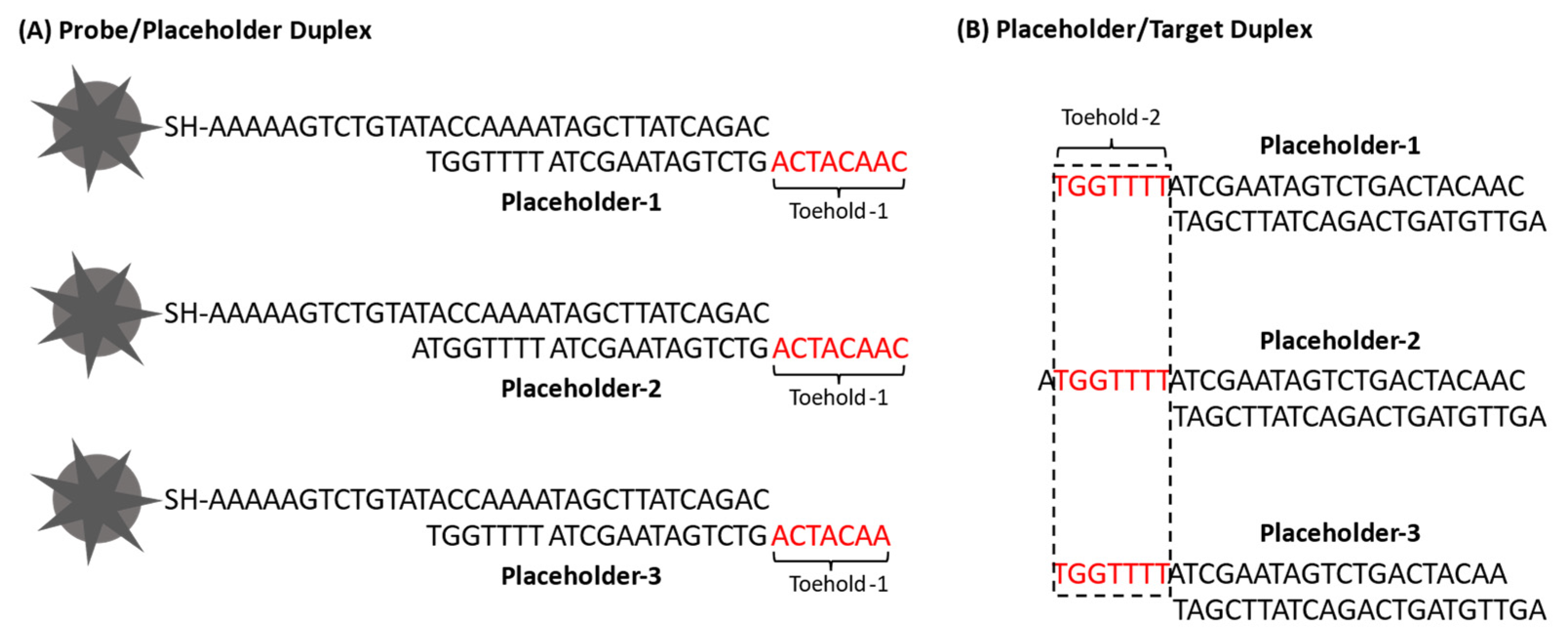Biosensors 13 00774 g006 Biosensors 13 00774 g006