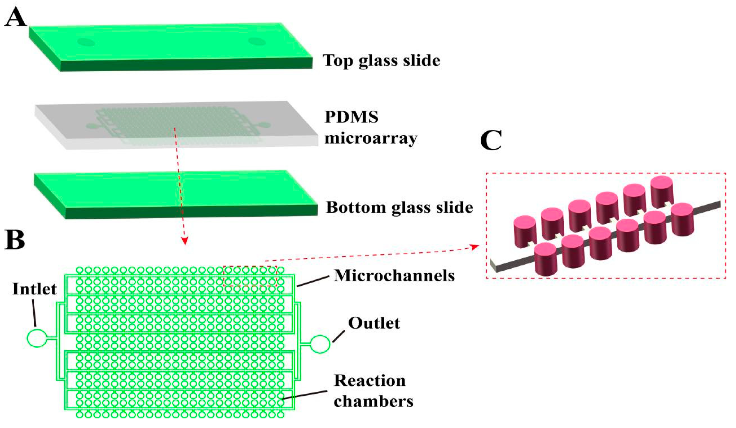 Biosensors 13 00778 g001