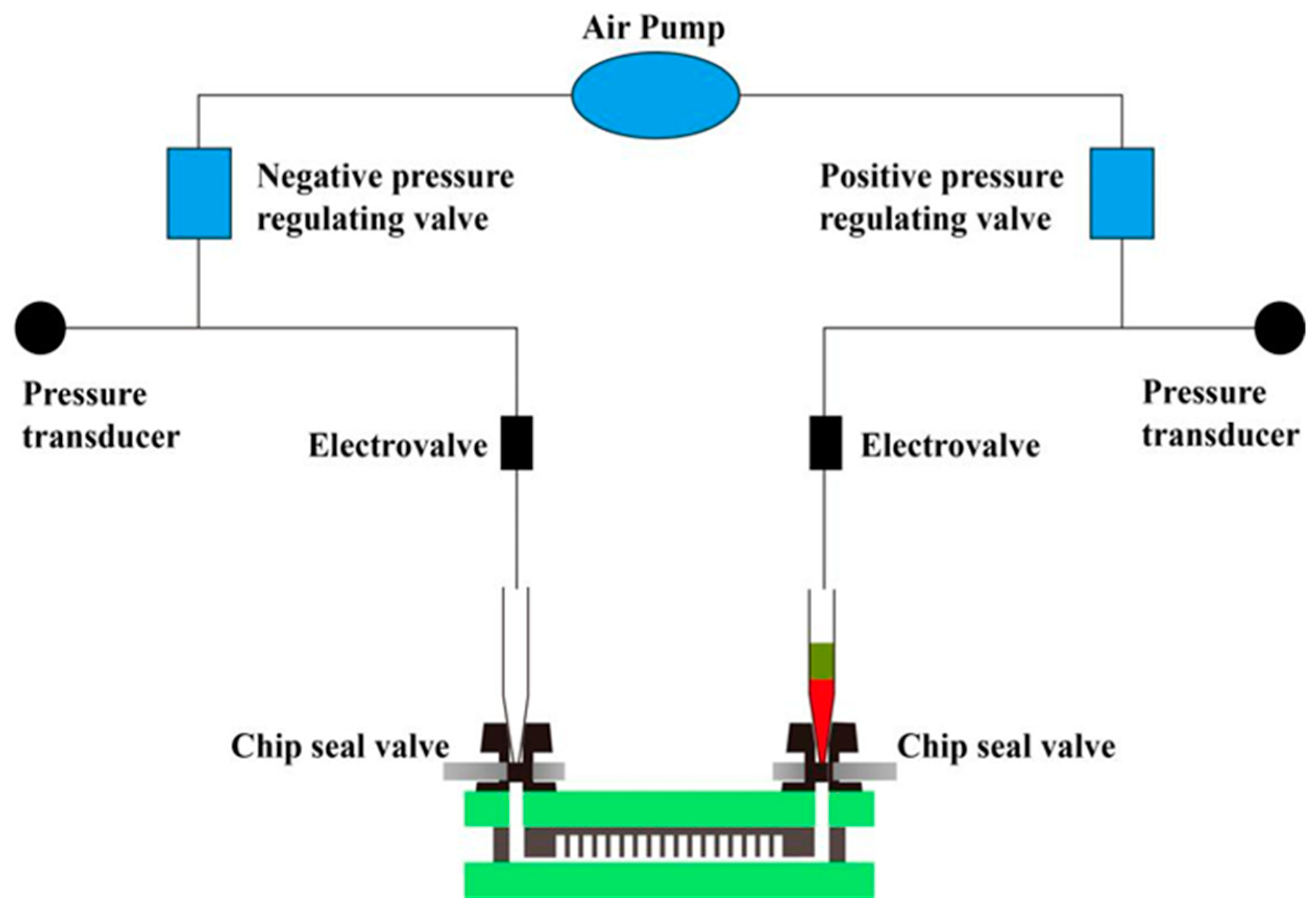 Biosensors 13 00778 g004