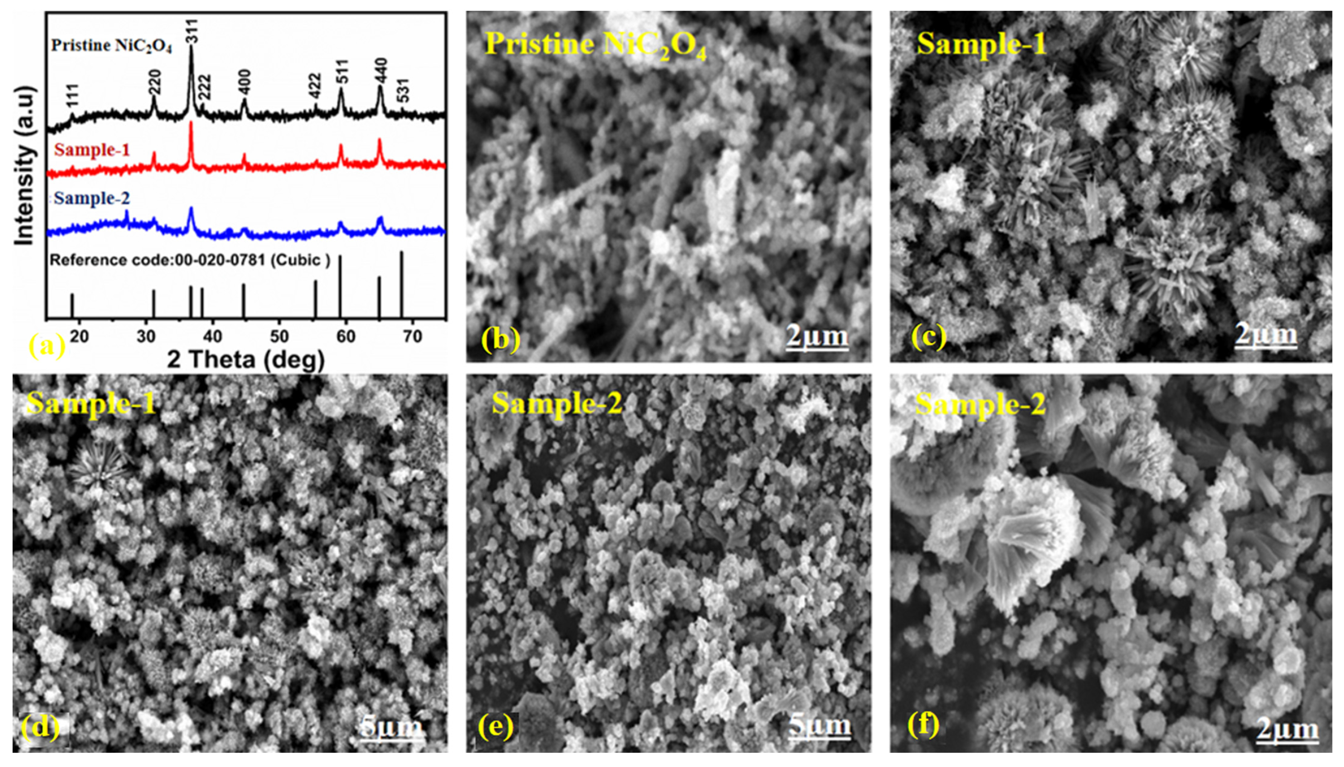 Biosensors 13 00780 g001