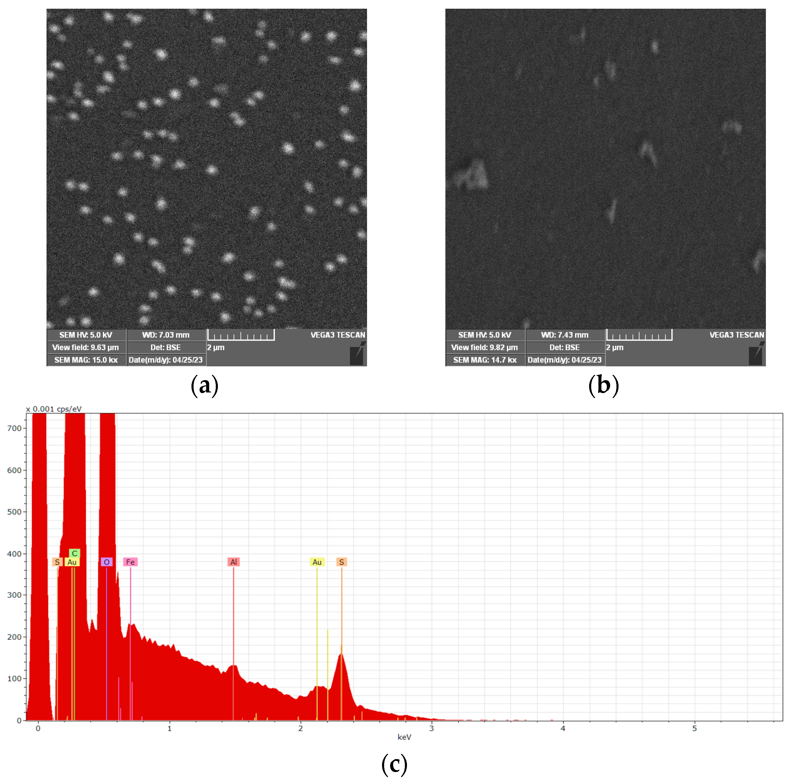 Biosensors 13 00781 g004