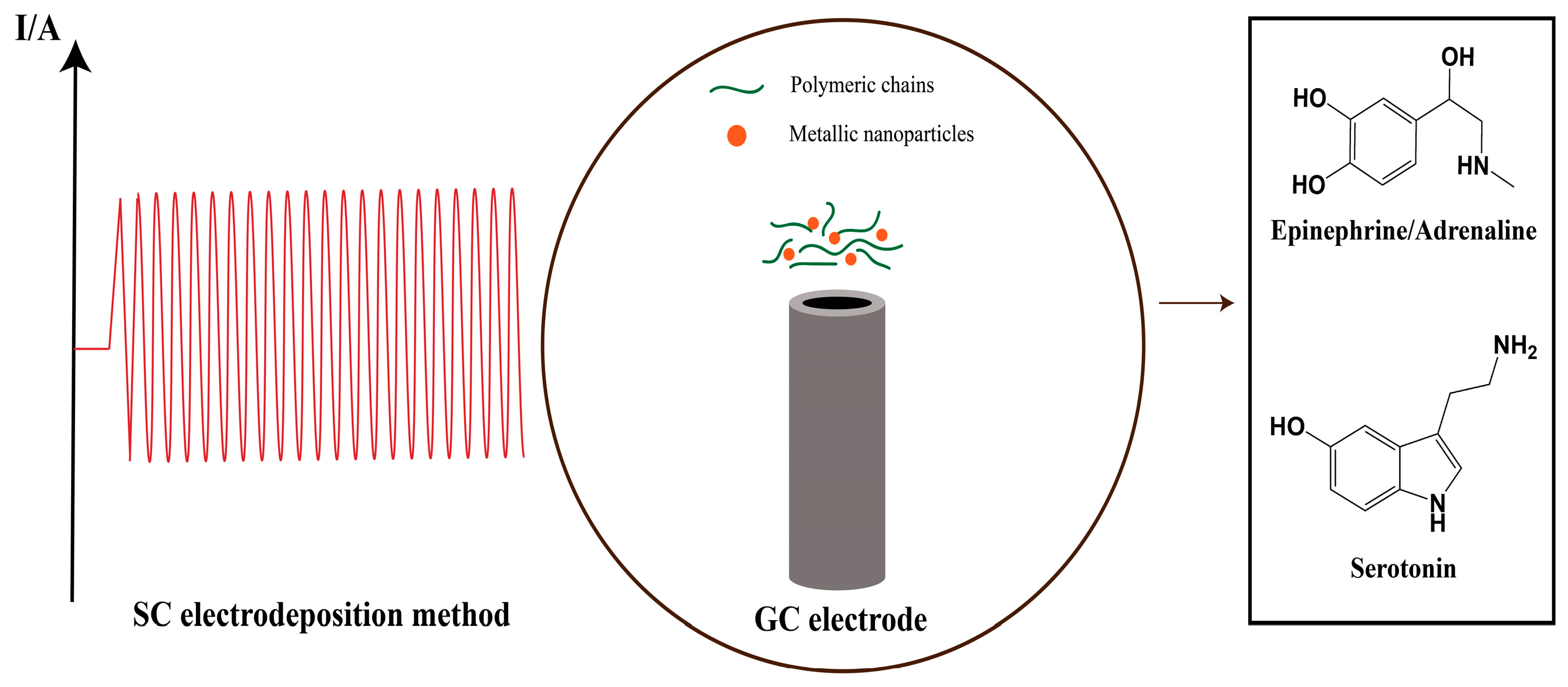 Biosensors 13 00781 sch001