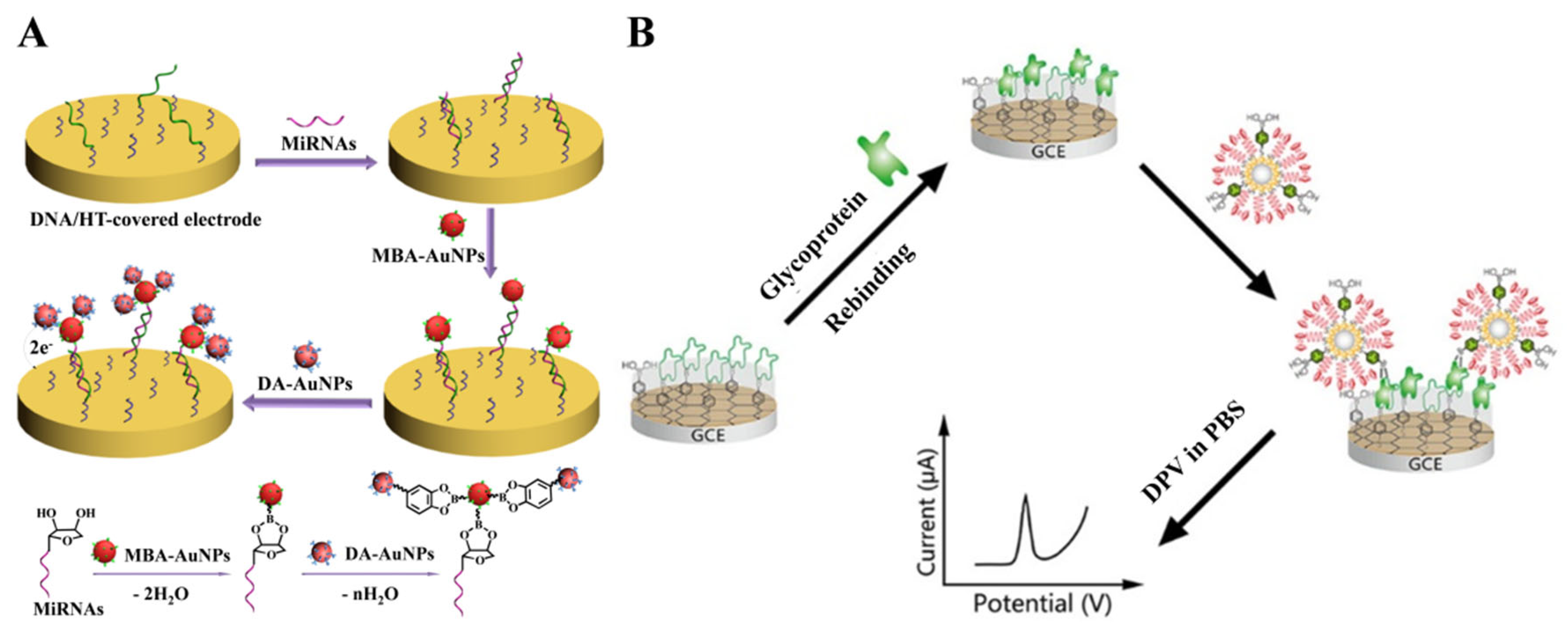 Biosensors 13 00785 g002