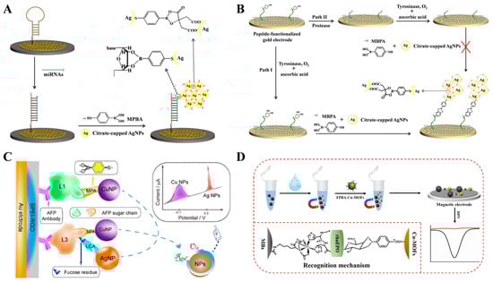 Biosensors 13 00785 g006