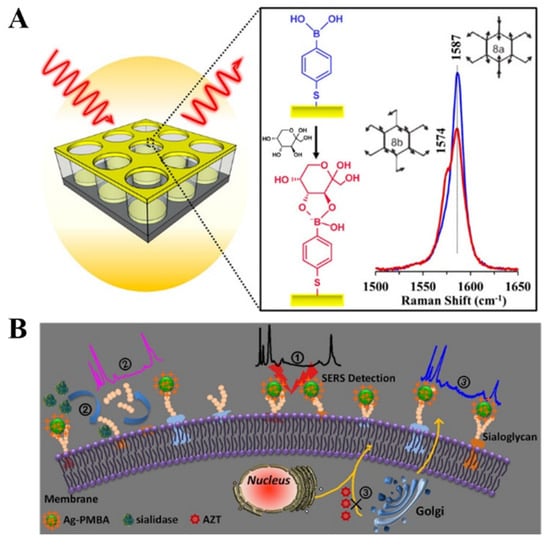 Biosensors 13 00785 g015