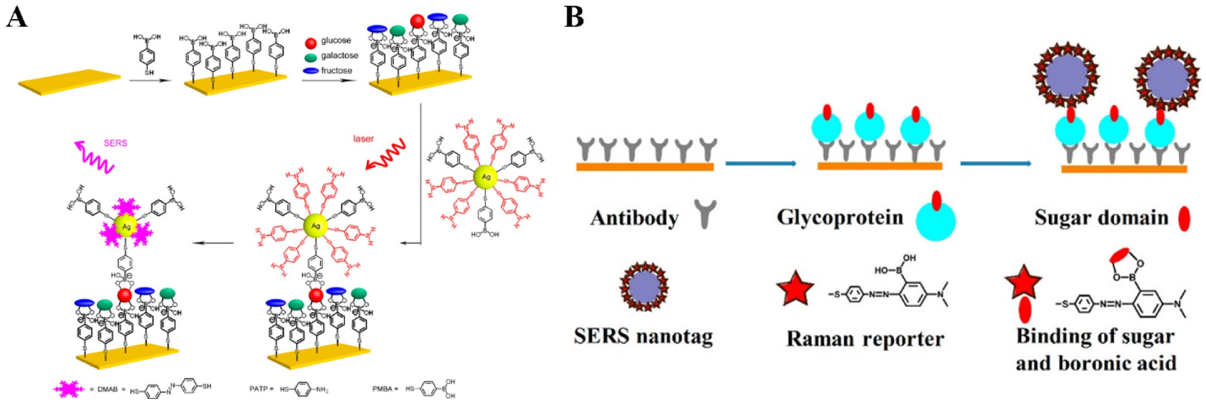 Biosensors 13 00785 g016