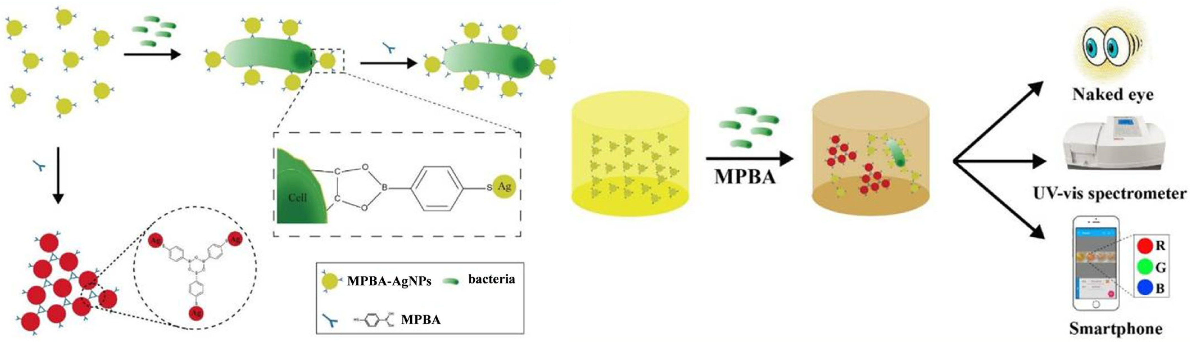 Biosensors 13 00785 g020