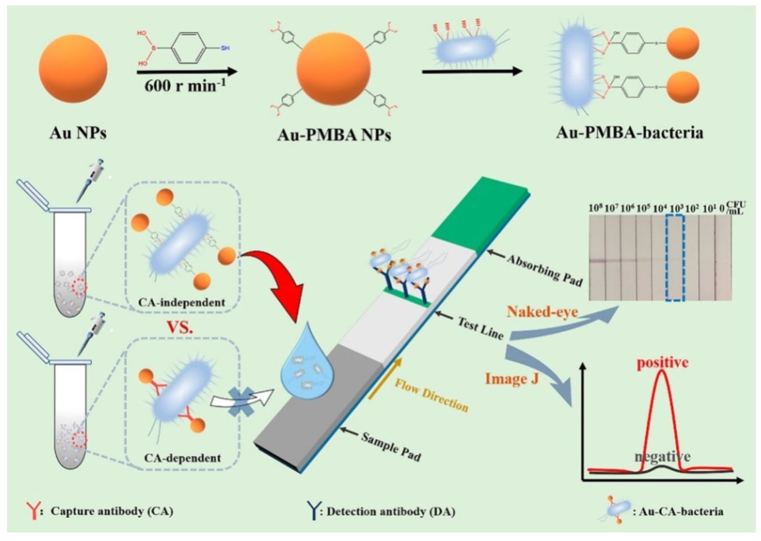 Biosensors 13 00785 g022