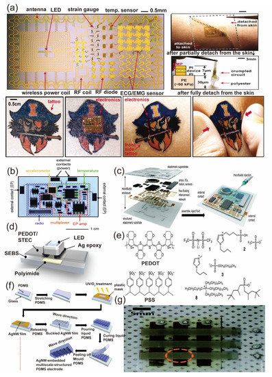 Biosensors 13 00787 g003