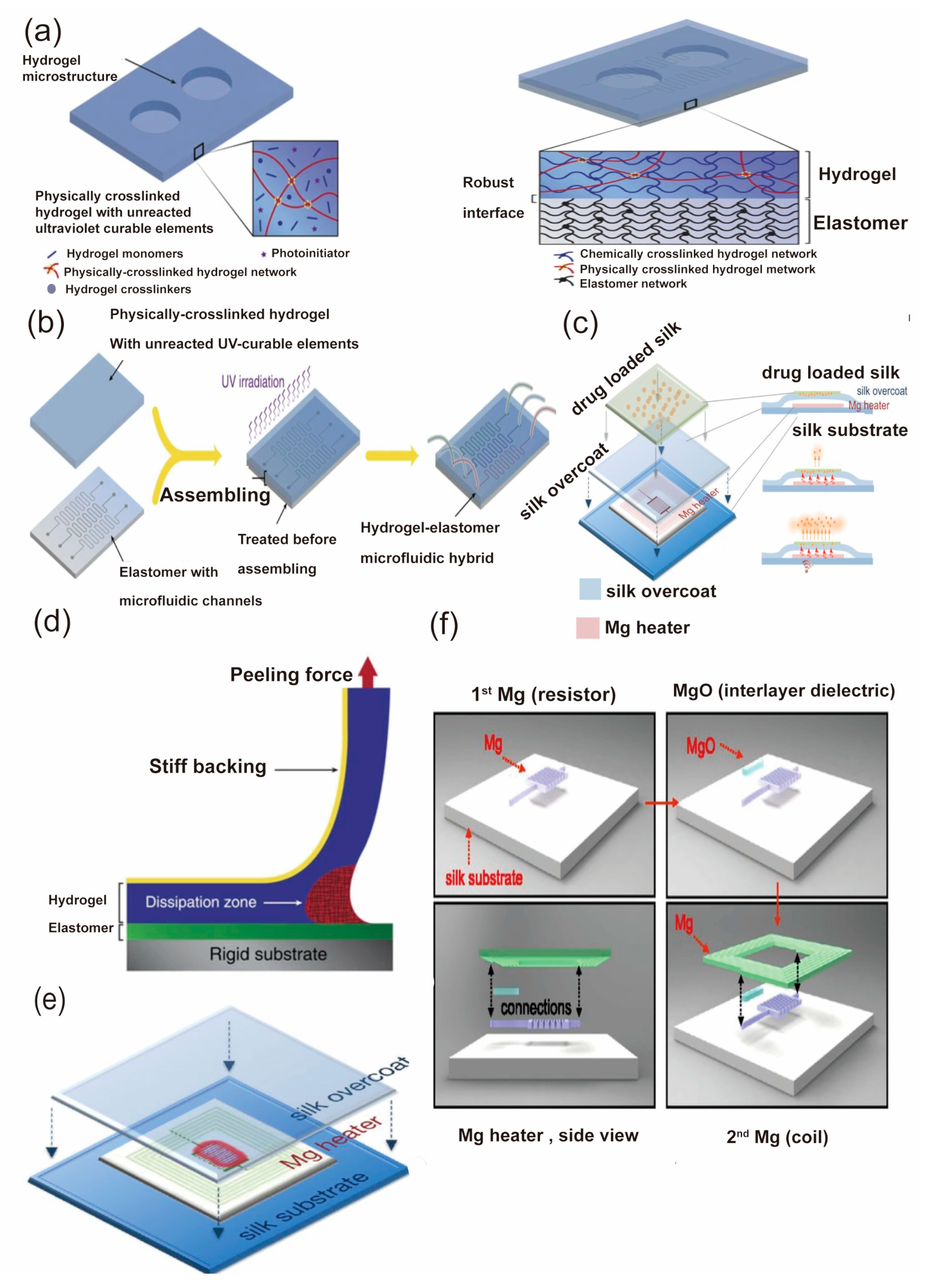 Biosensors 13 00787 g004 Biosensors 13 00787 g004
