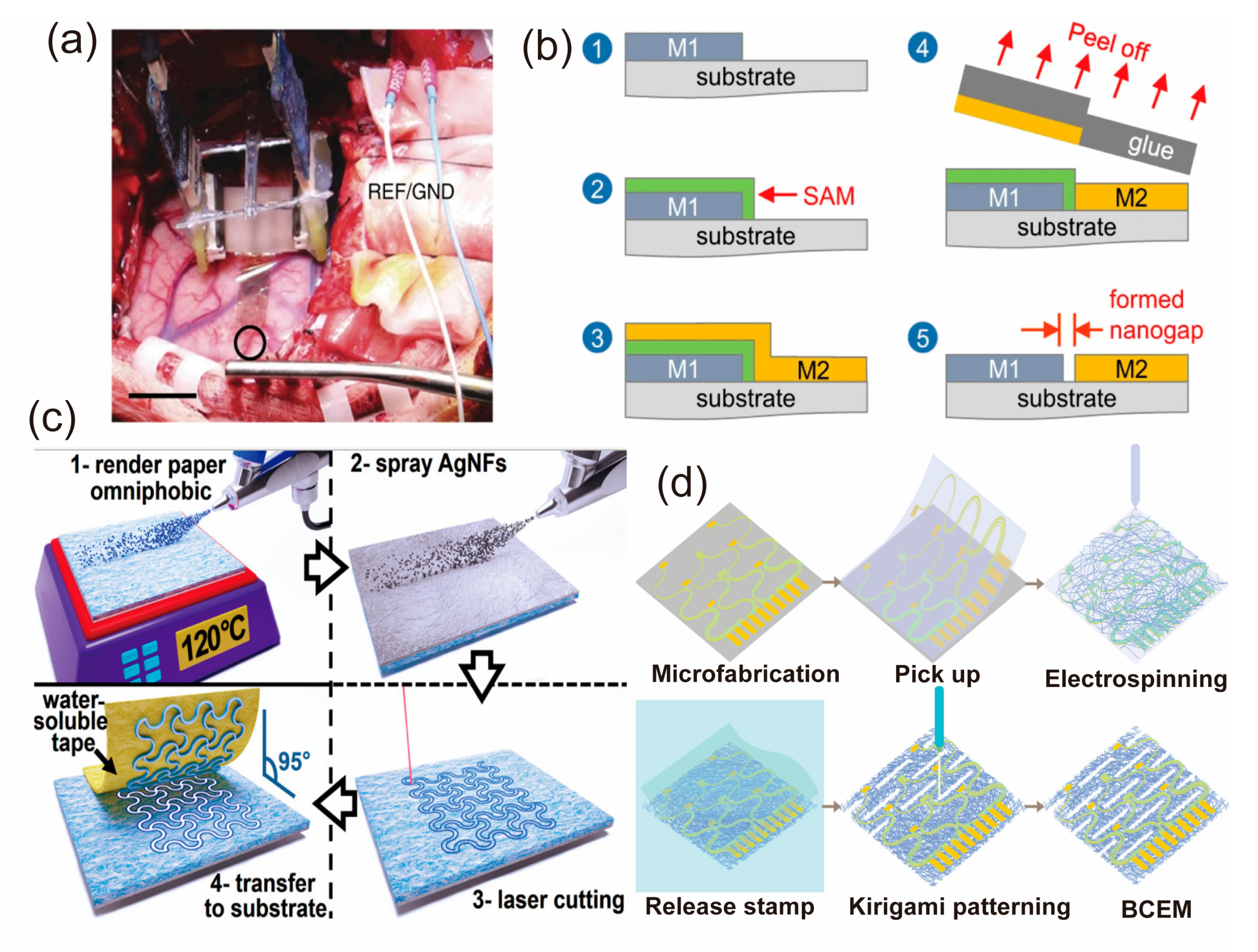 Biosensors 13 00787 g005 Biosensors 13 00787 g005