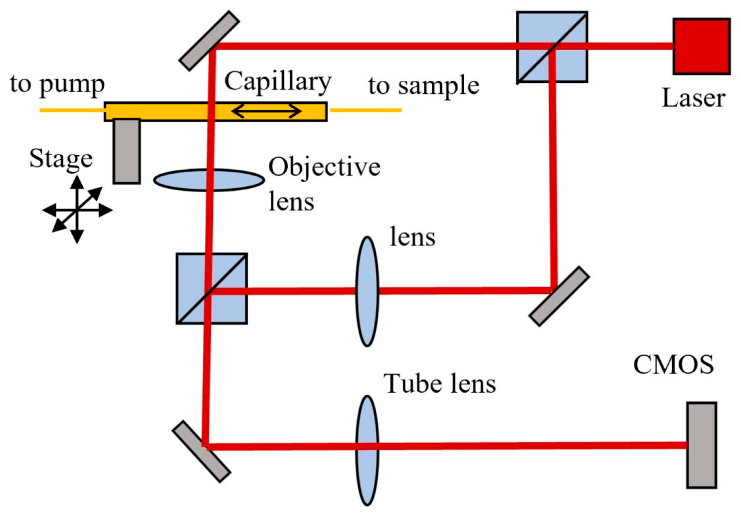 Biosensors 13 00789 g001