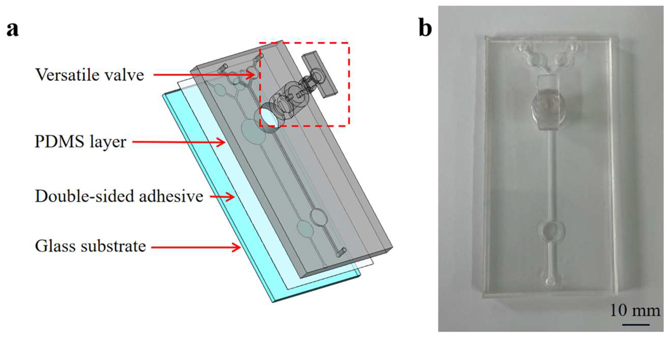 Biosensors 13 00790 g002