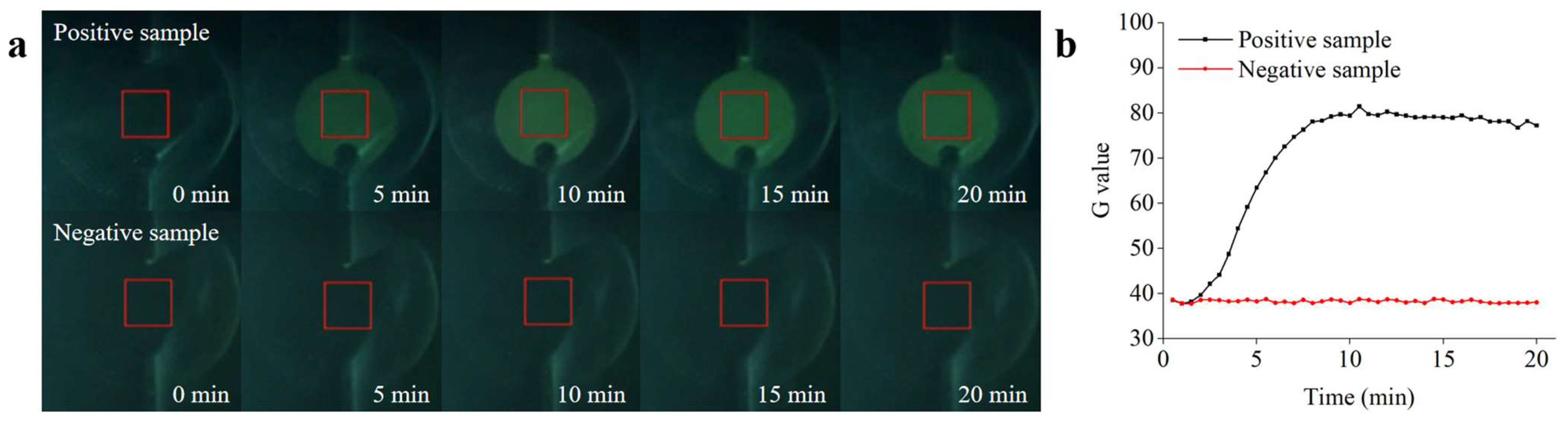 Biosensors 13 00790 g009