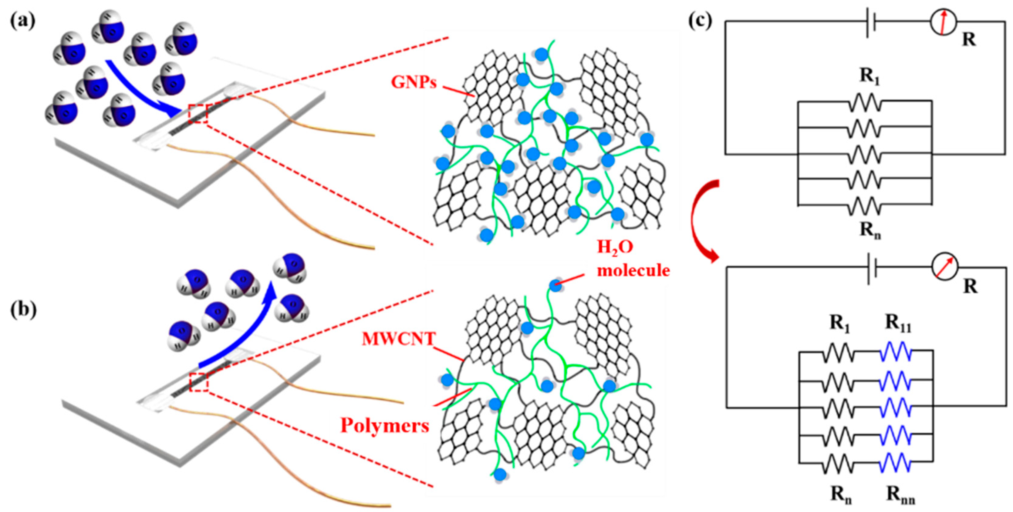 Biosensors 13 00792 g006