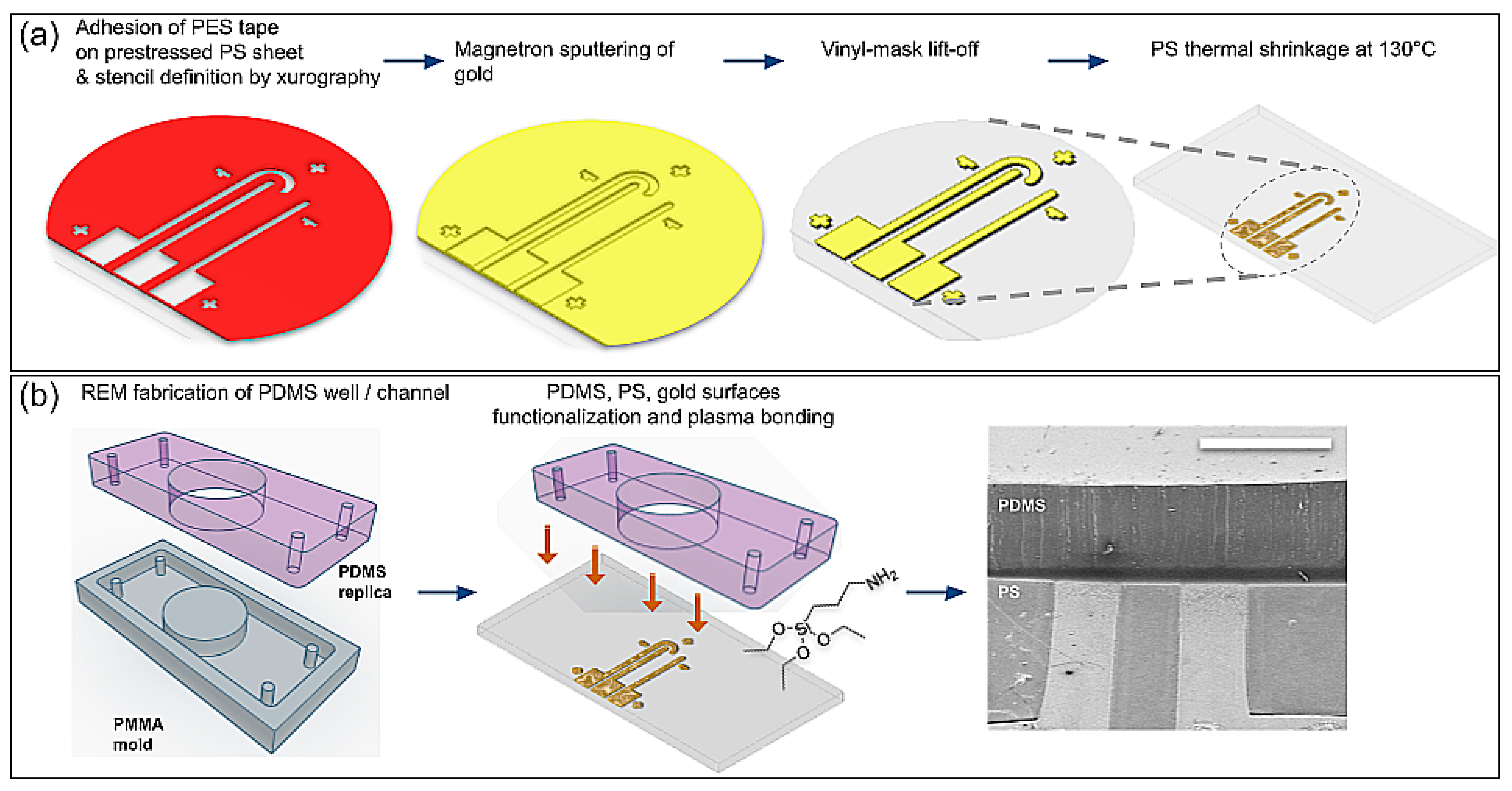Biosensors 13 00794 g001