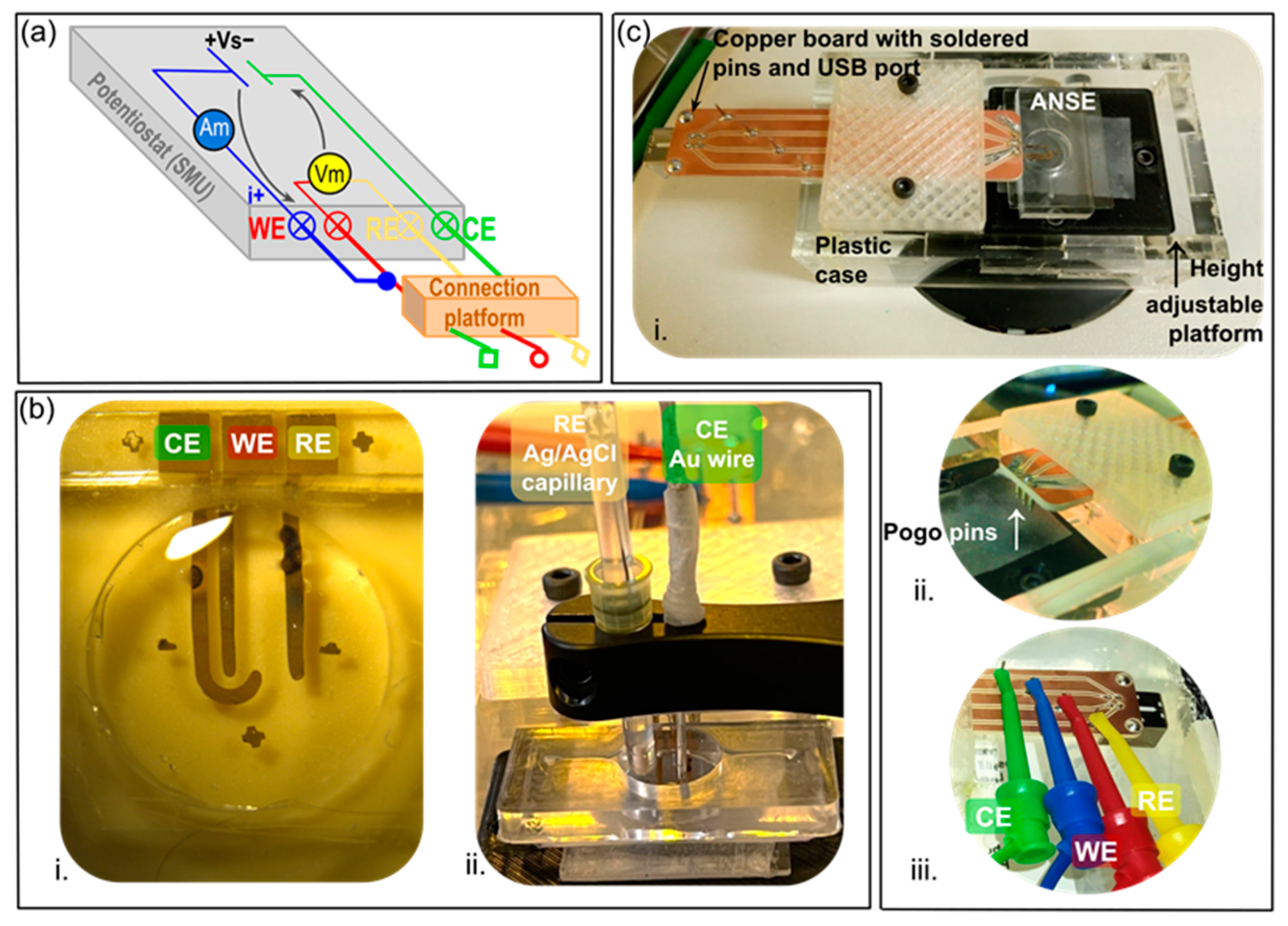 Biosensors 13 00794 g002