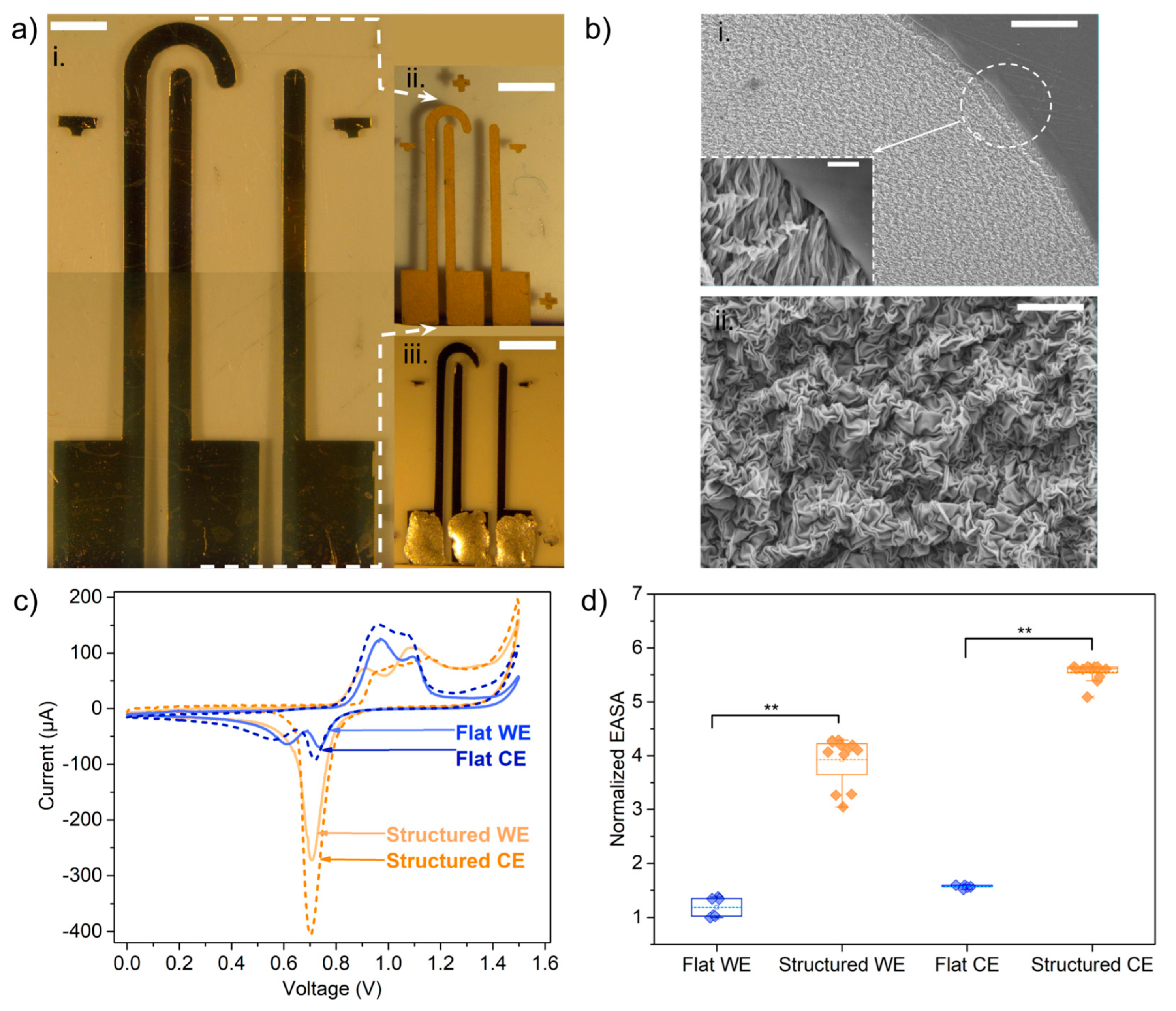 Biosensors 13 00794 g003