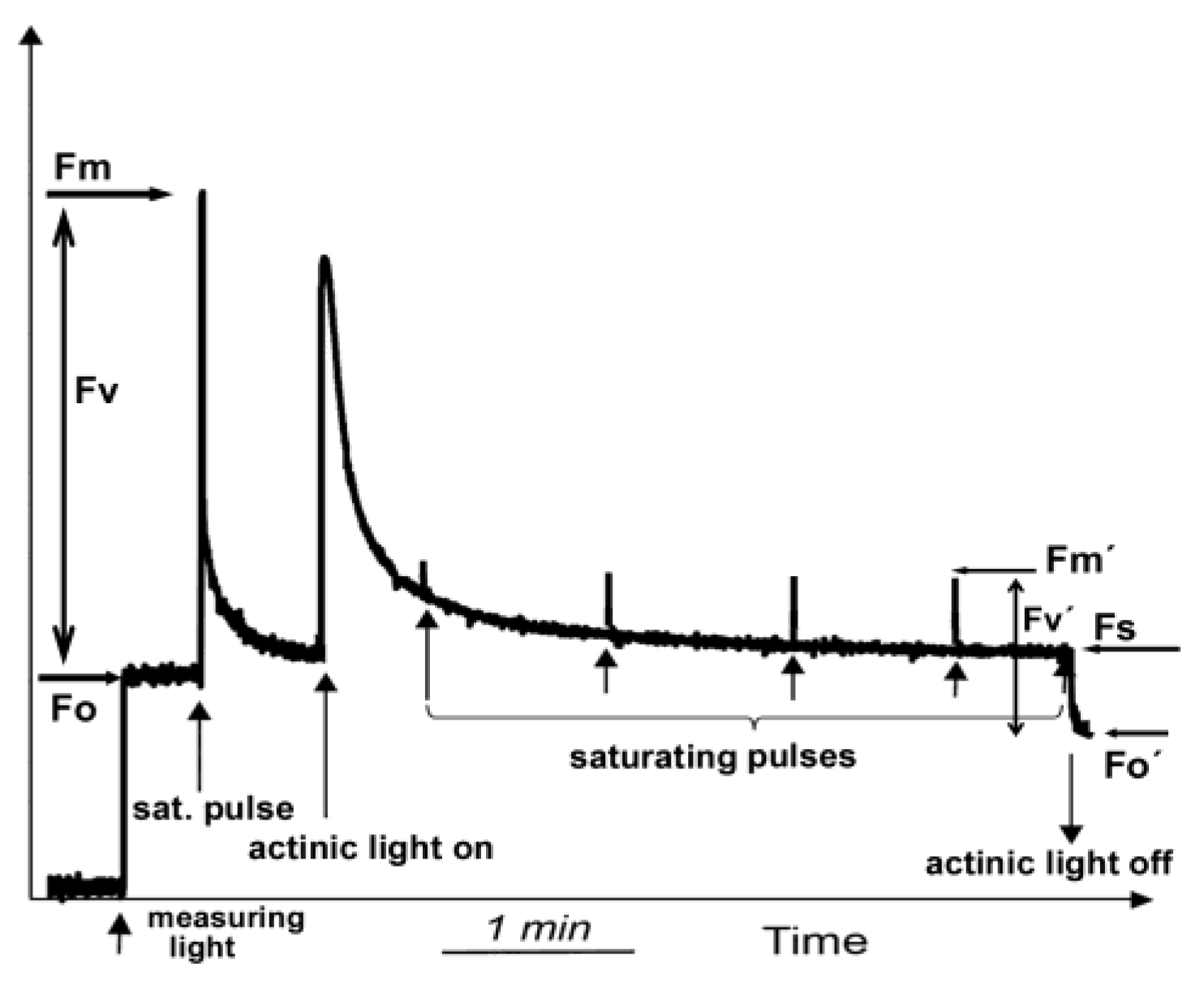 Biosensors 13 00796 g003