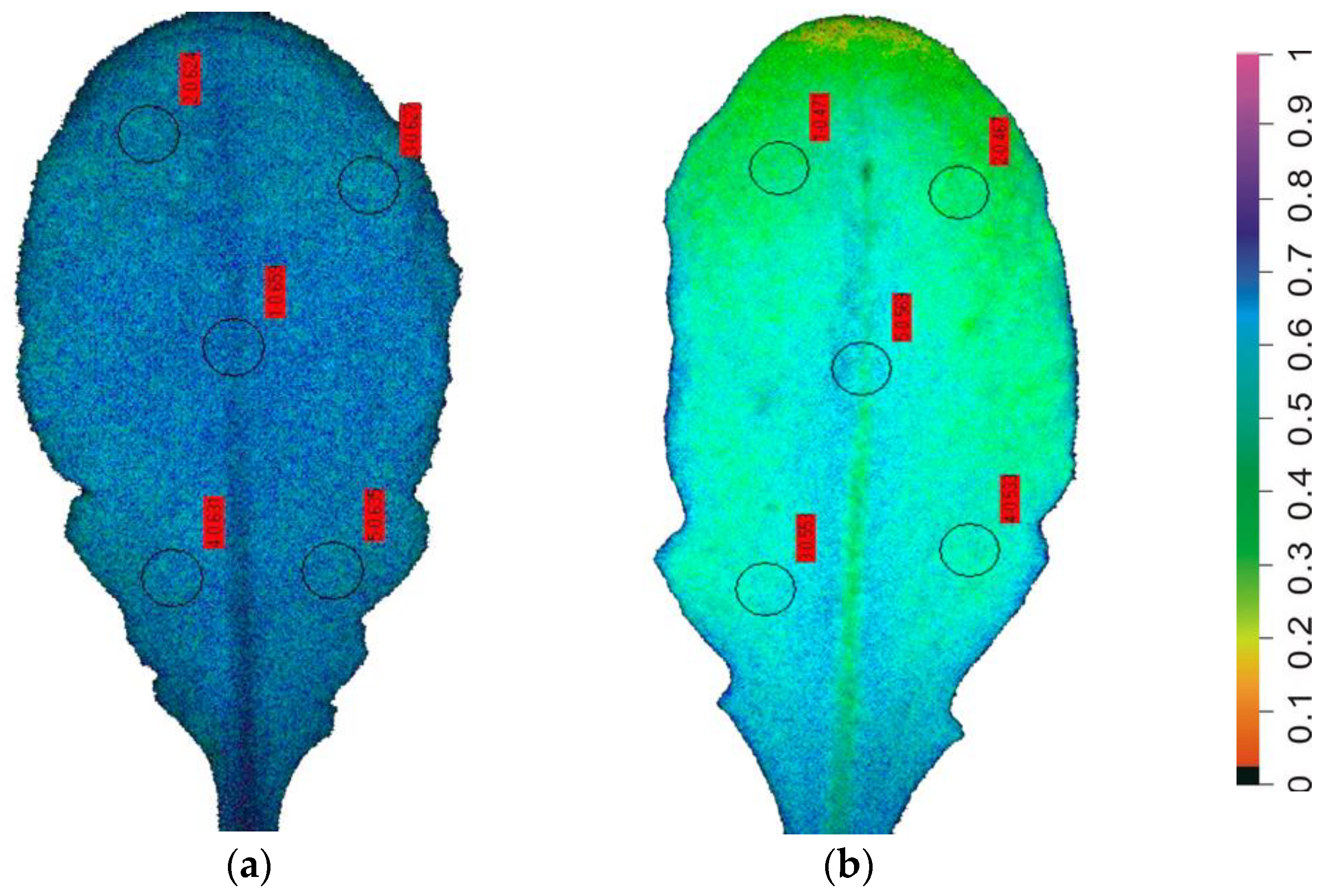 Biosensors 13 00796 g004