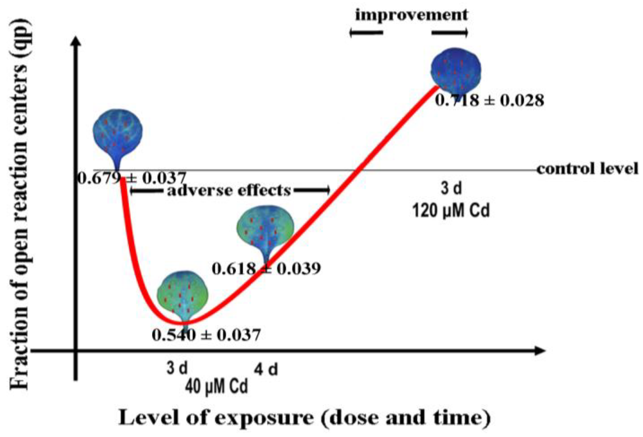 Biosensors 13 00796 g006